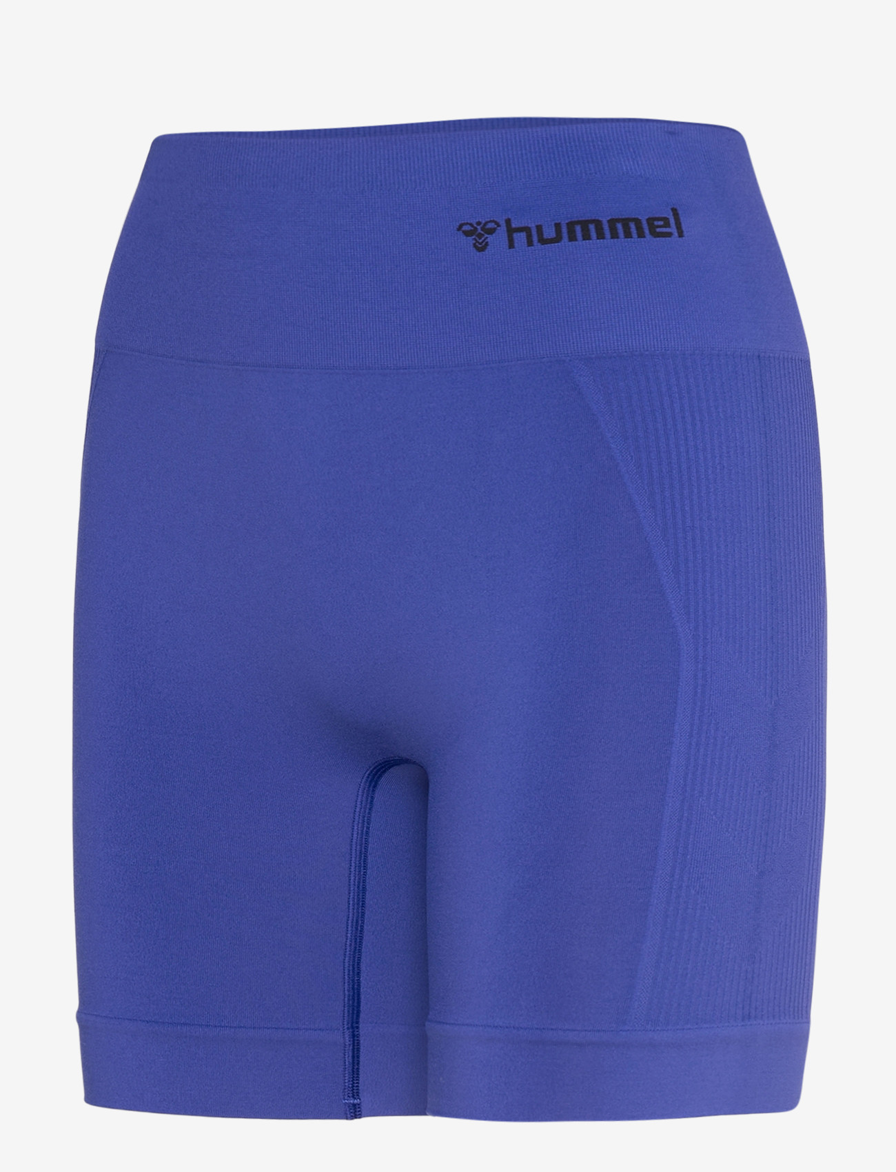 Hummel - hmlTIF SEAMLESS SHORTS - korta tights - surf the web - 2
