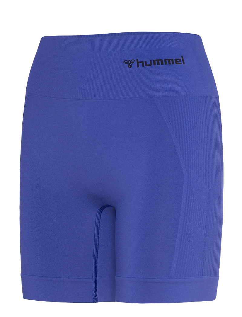 Hummel - hmlTIF SEAMLESS SHORTS - korta tights - surf the web - 2