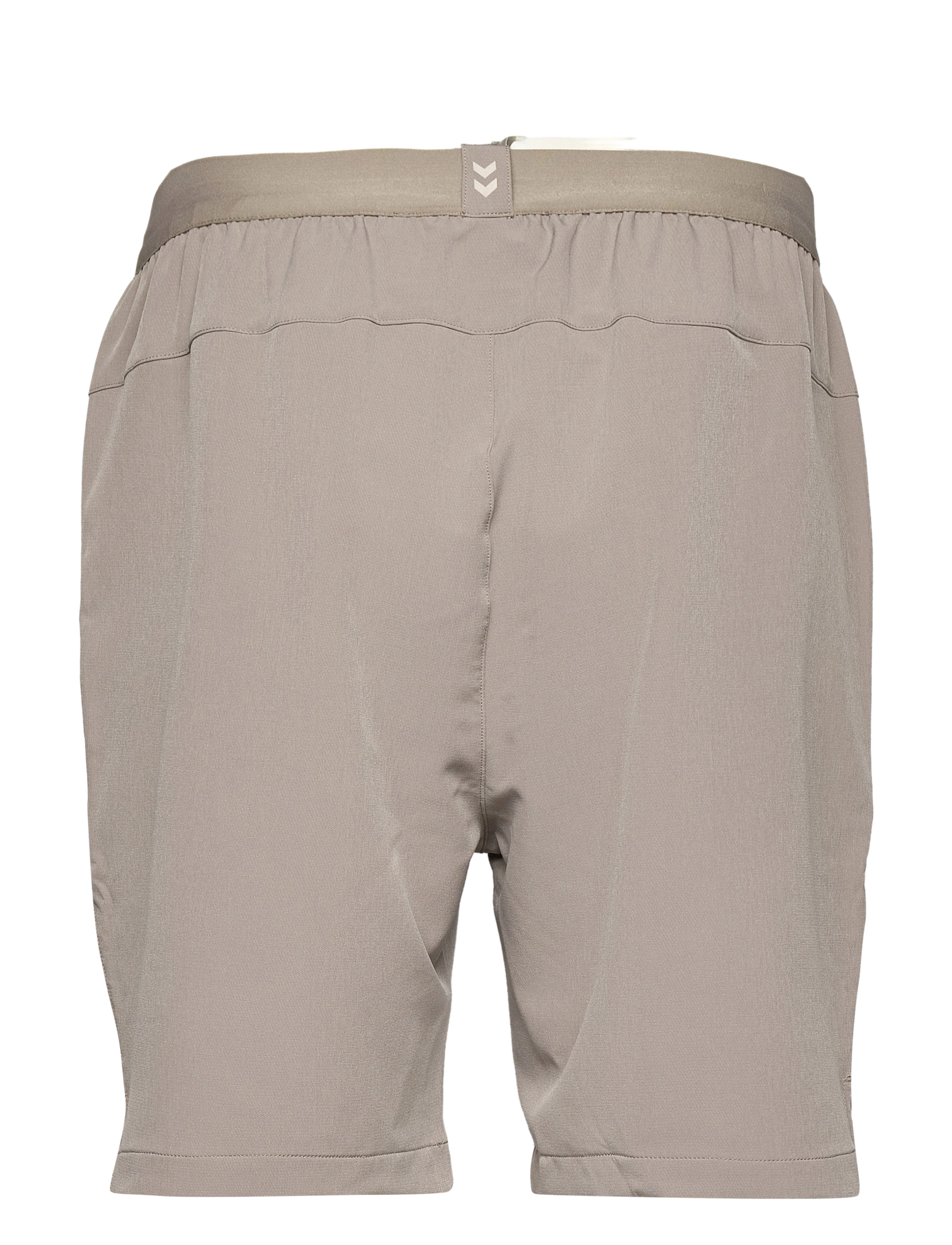 Hummel - hmlMT DRAGON SHORTS - driftwood - 1
