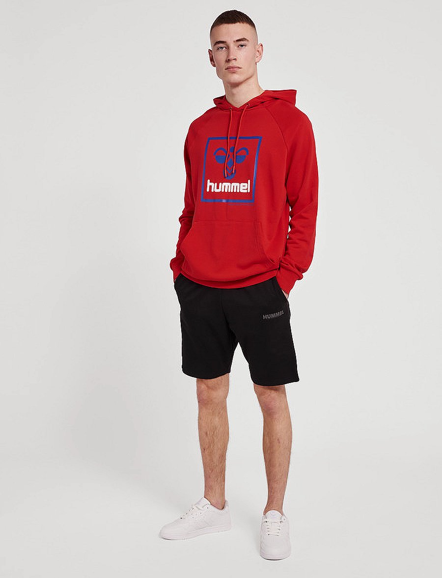 Hummel - hmlISAM 2.0 HOODIE - barbados cherry - 3