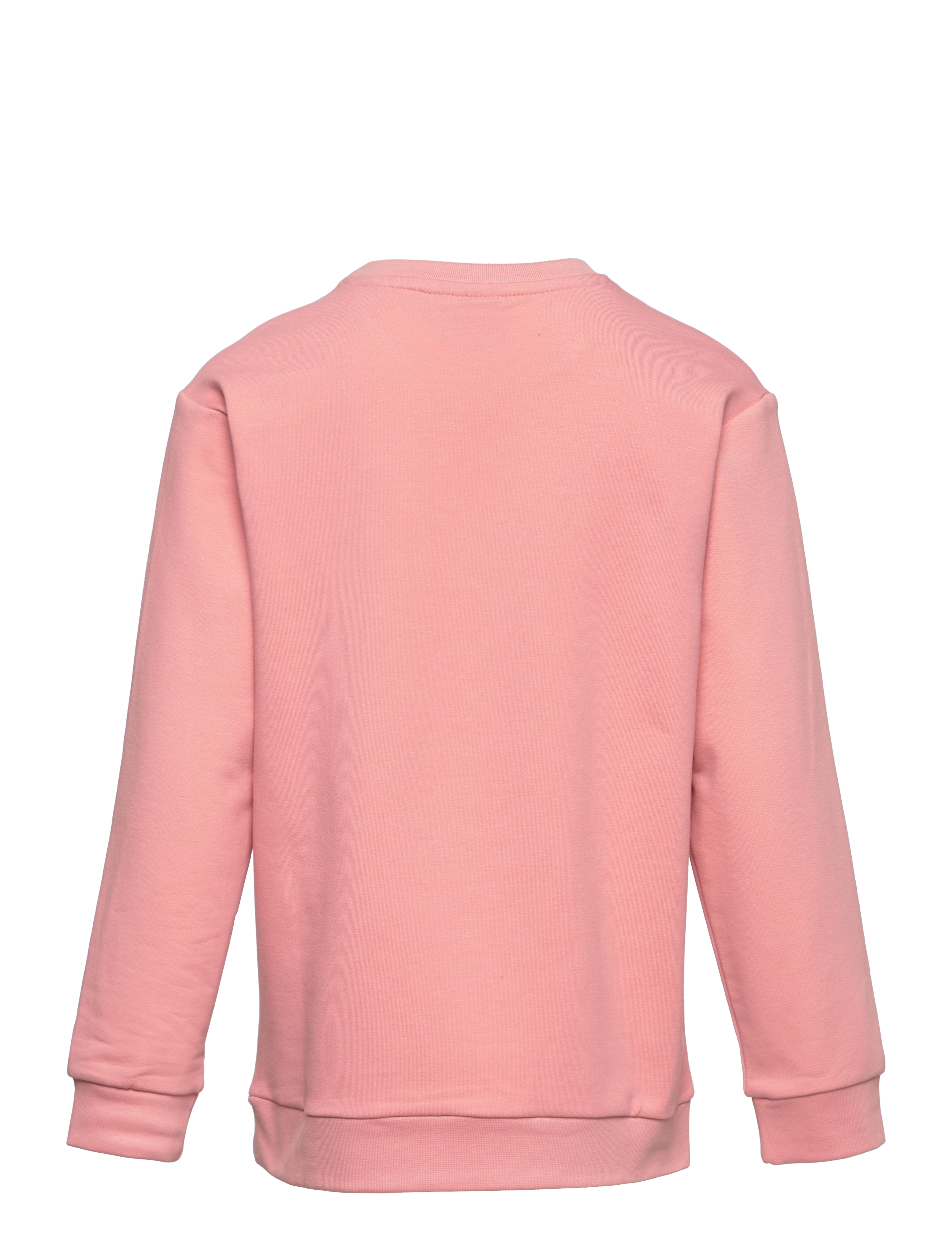 Hummel - hmlWIMB SWEATSHIRT - rosette - 1