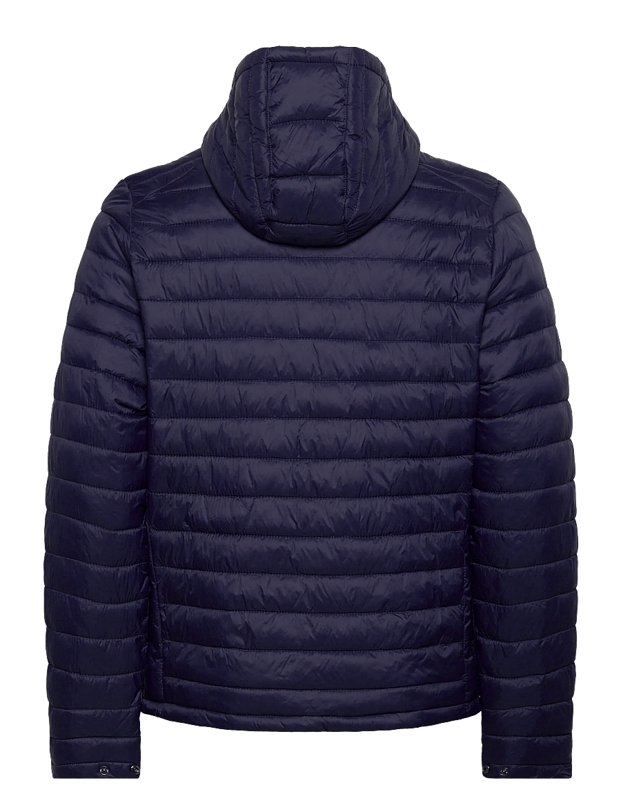 Hummel - hmlRED QUILTED HOOD JACKET - frühlingsjacken - marine - 1