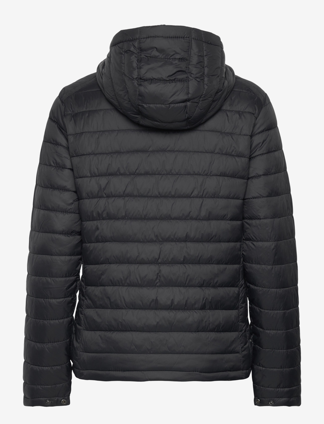 Hummel - hmlRED QUILTED HOOD JACKET WOMAN - vinterjackor - black - 1