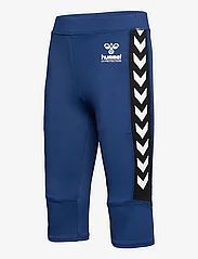 Hummel - hmlFIJI SWIM SHORTS - swim shorts - navy peony - 3