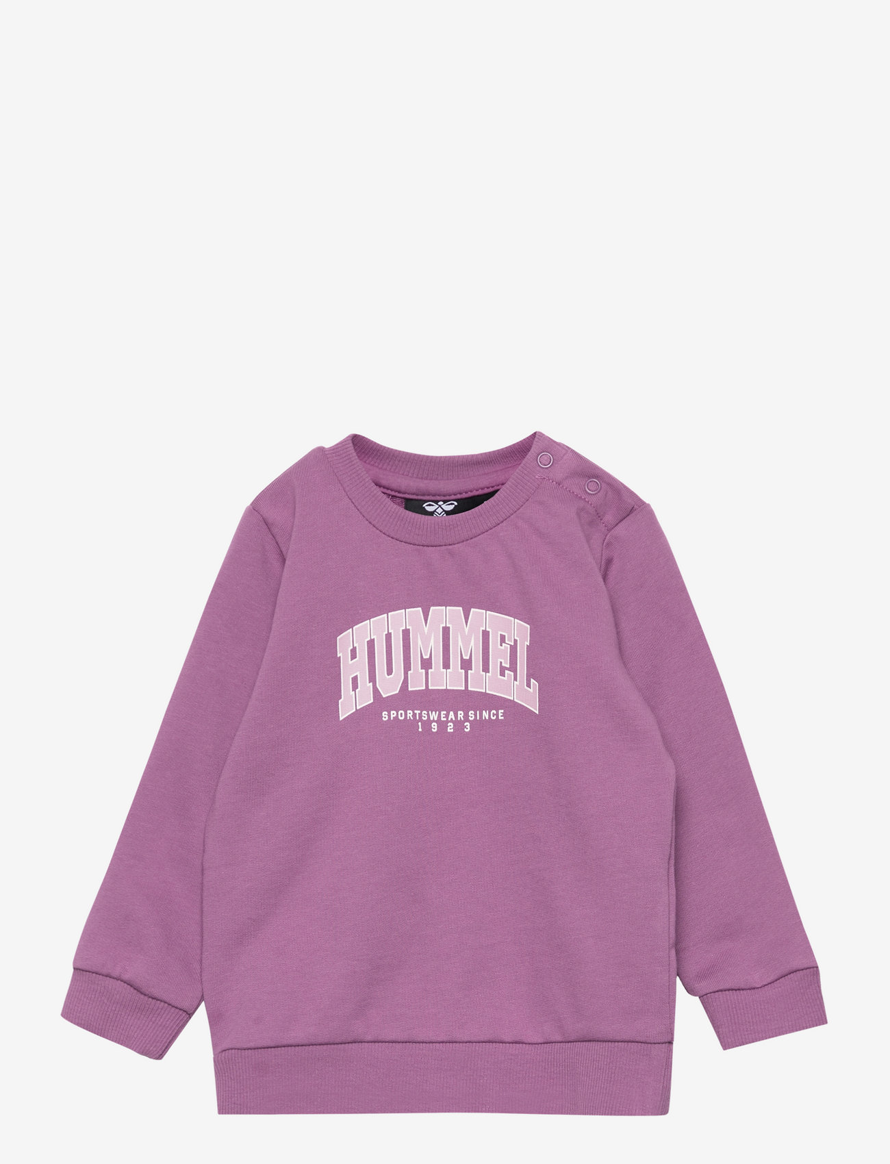 ARGYLE PURPLE