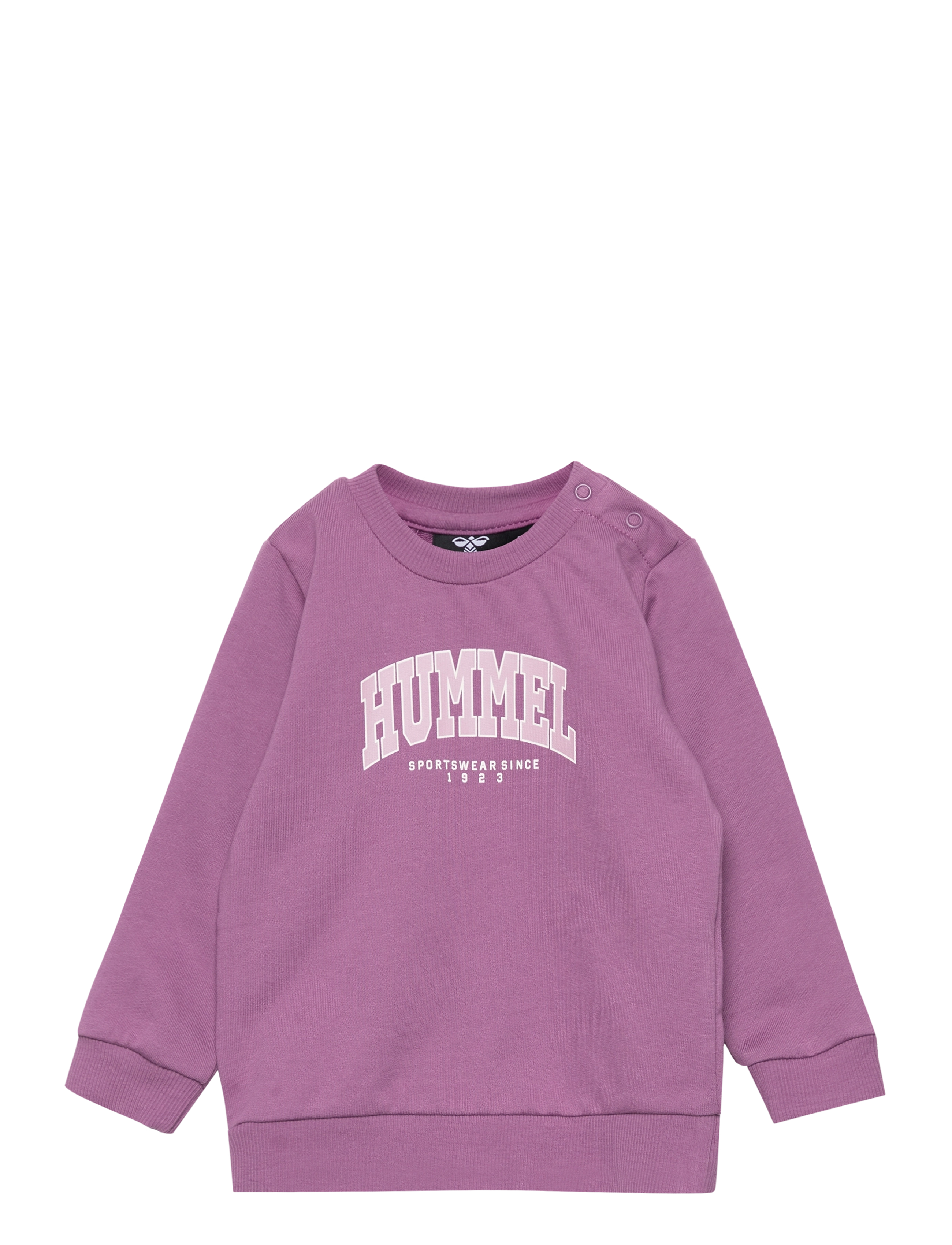 ARGYLE PURPLE