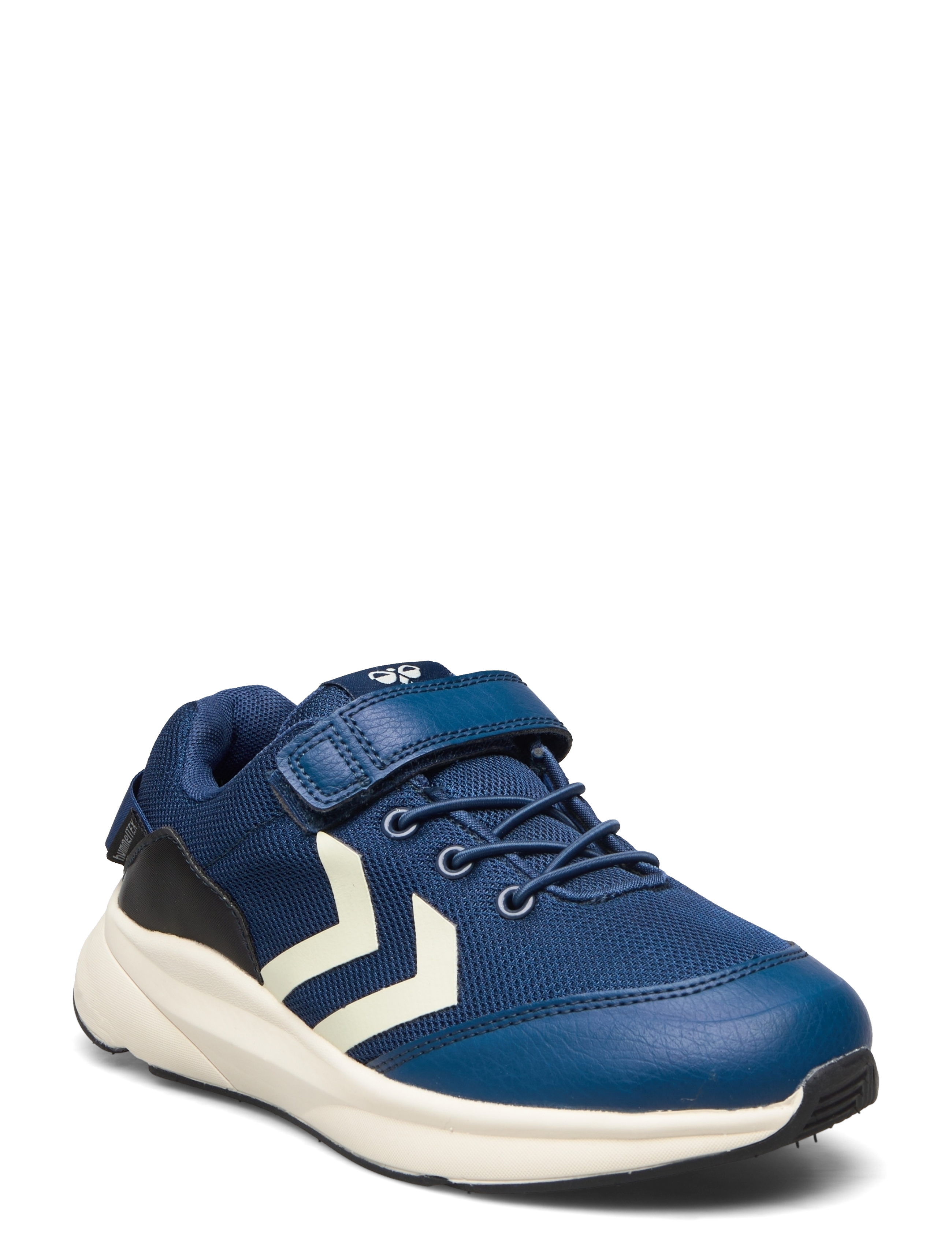 NAVY PEONY