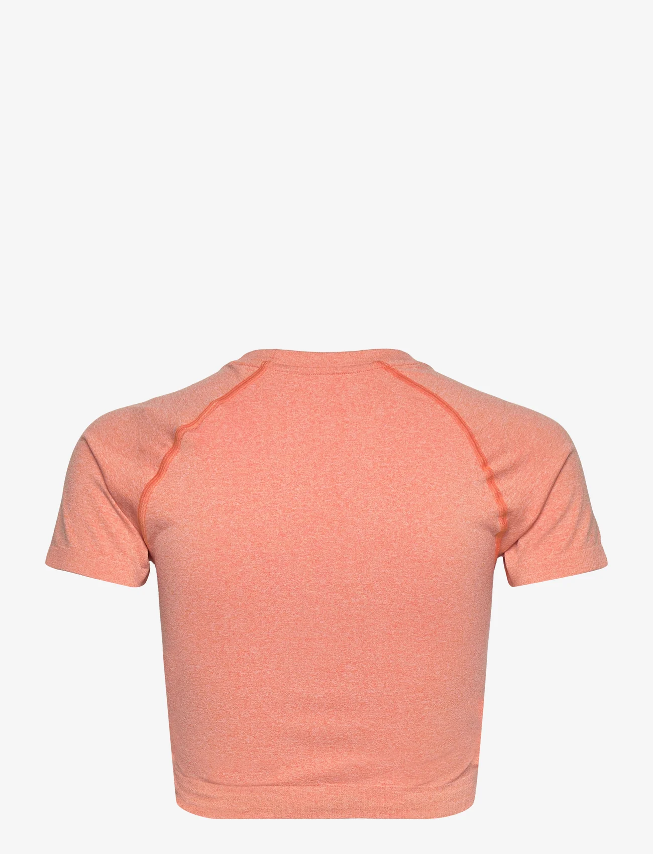 Hummel - hmlCI SEAMLESS CROPPED T-SHIRT - lowest prices - canyon sunset melange - 1