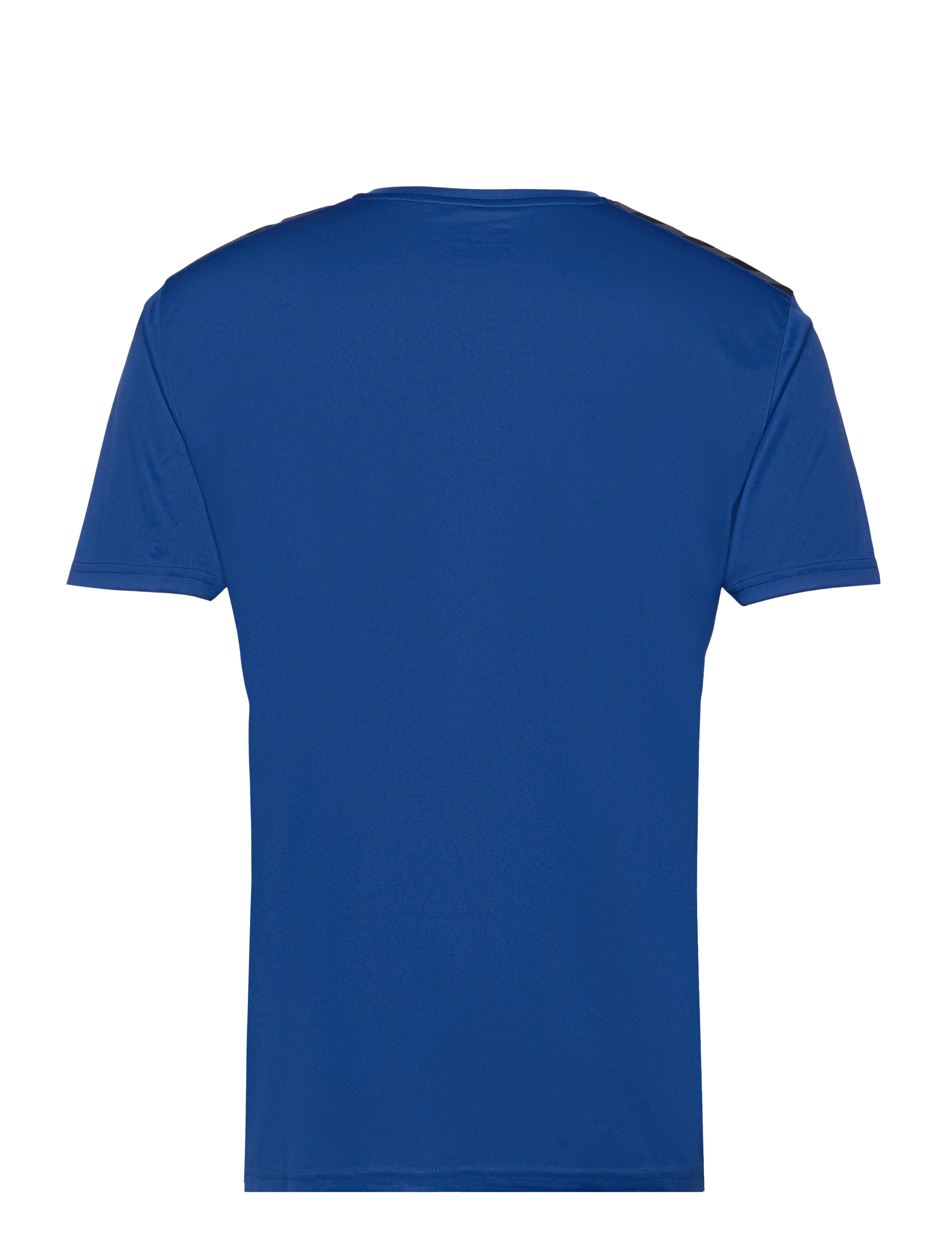 Hummel - hmlAUTHENTIC PL JERSEY S/S - t-shirts - true blue - 2