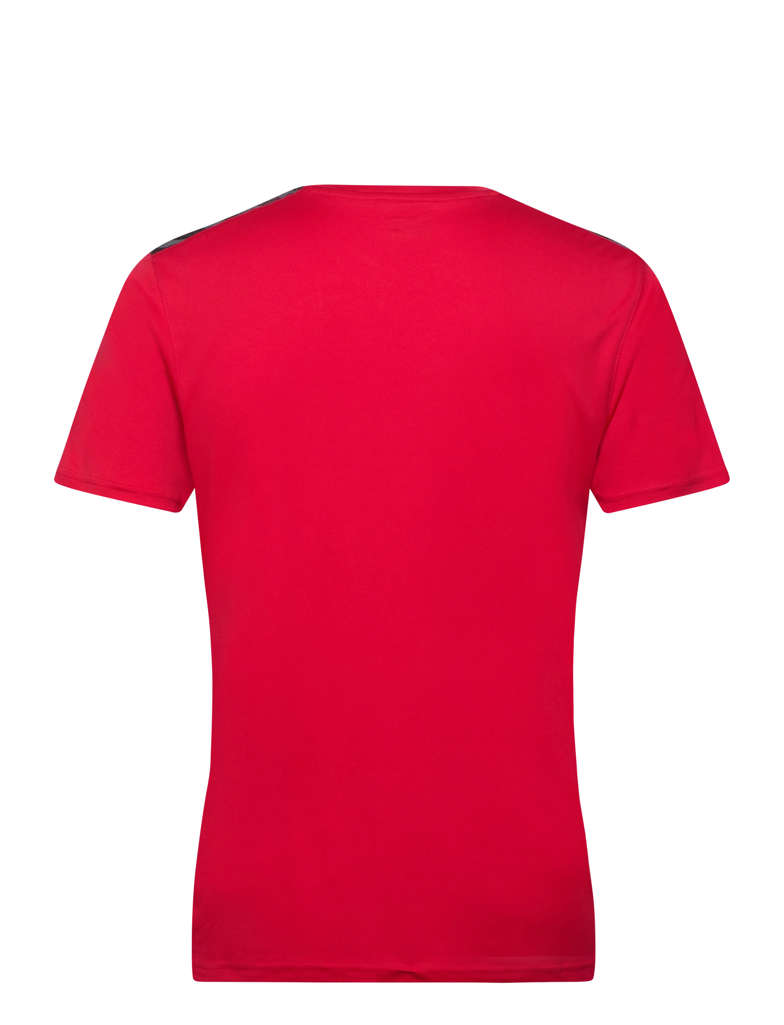 Hummel - hmlAUTHENTIC PL JERSEY S/S - t-shirts - true red - 2