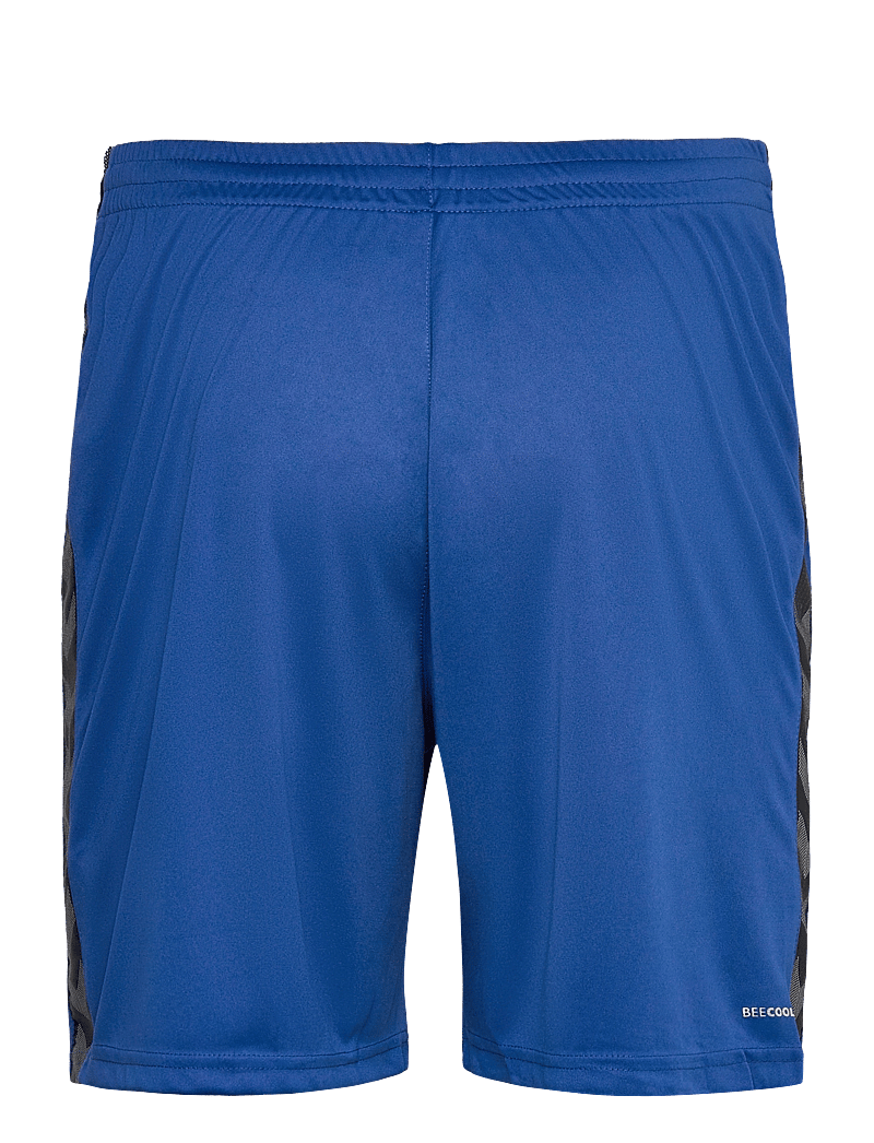 Hummel - hmlAUTHENTIC PL SHORTS - träningsshorts - true blue - 2