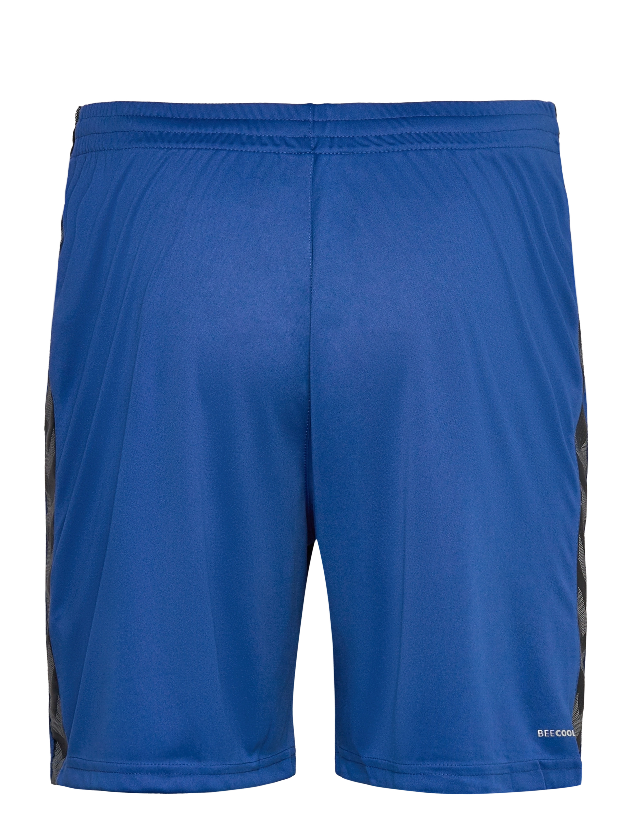 Hummel - hmlAUTHENTIC PL SHORTS - trainingsshorts - true blue - 2