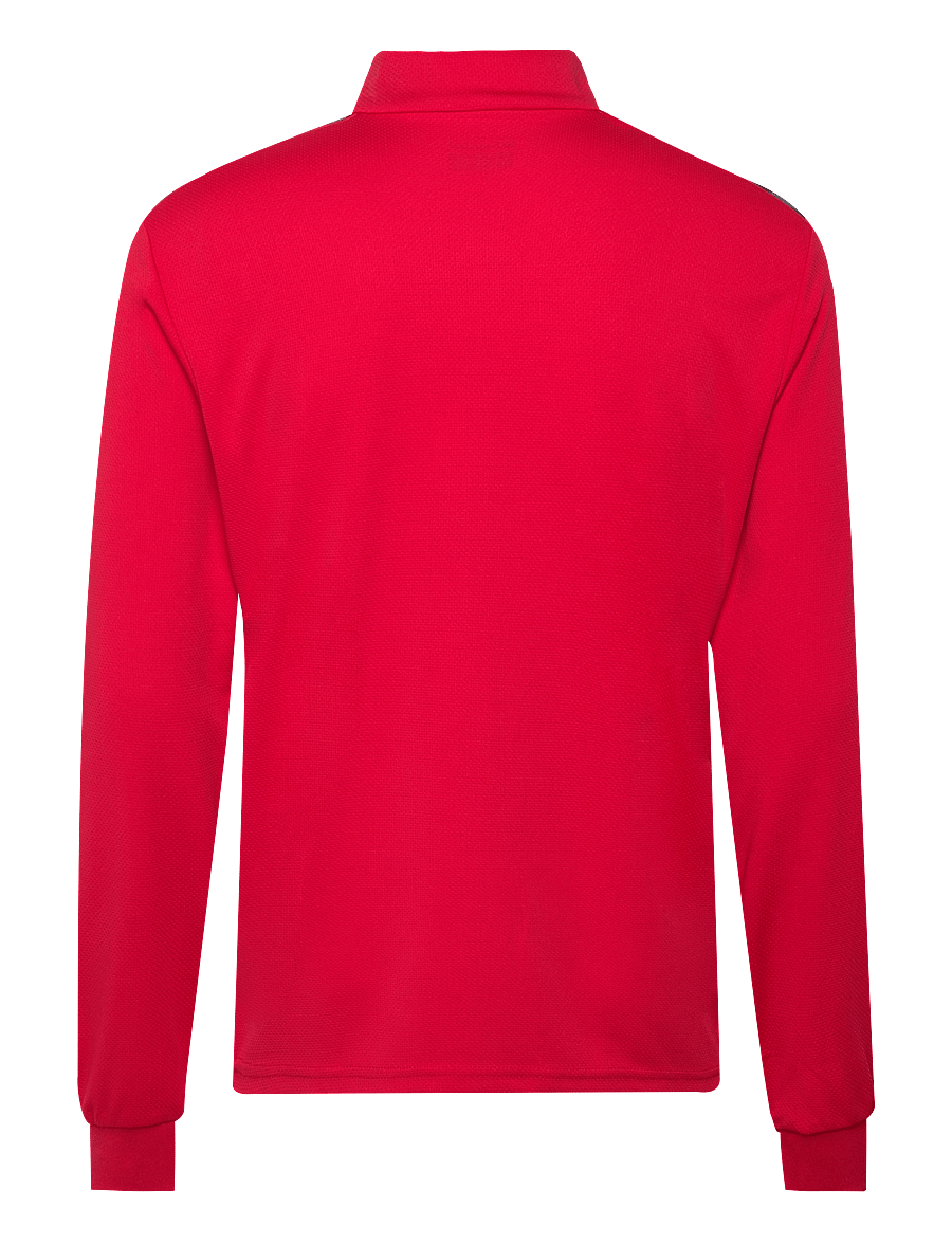 Hummel - hmlAUTHENTIC HALF ZIP SWEAT - dressipluusid - true red - 1