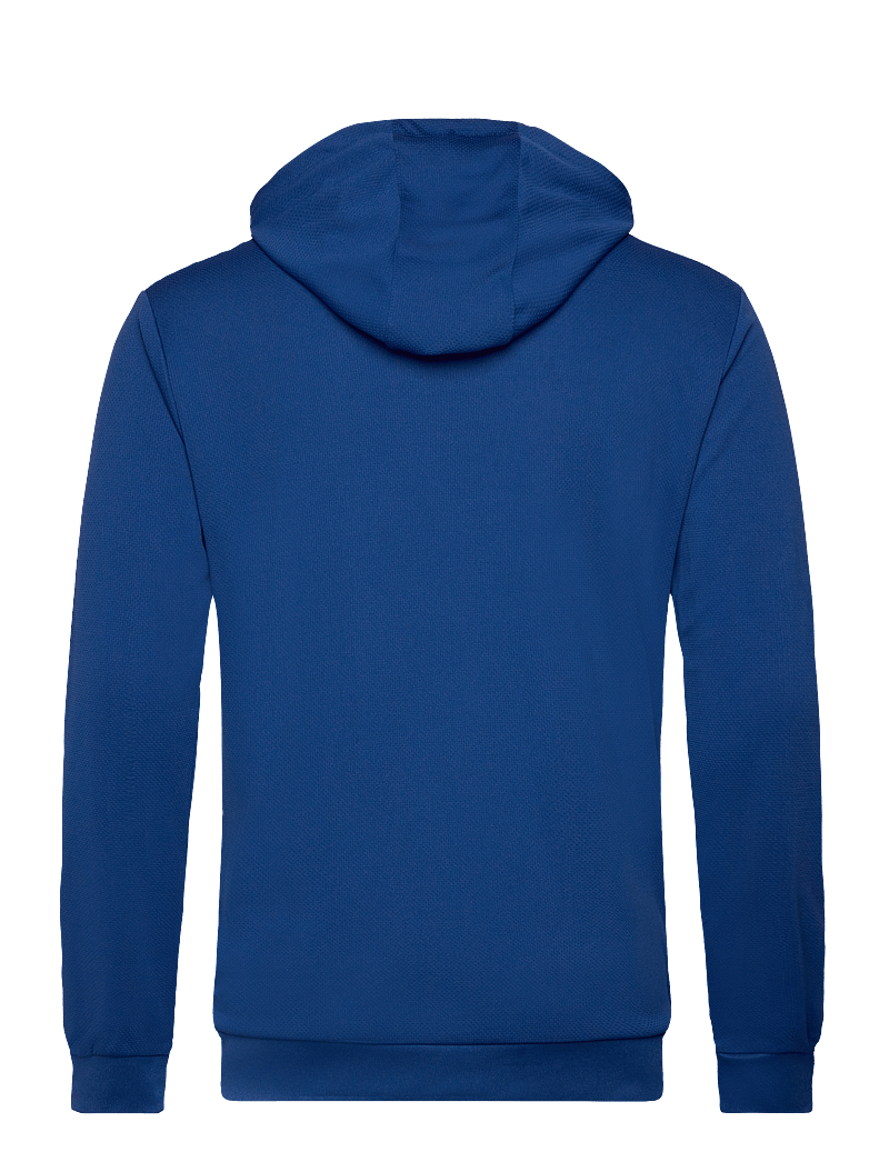 Hummel - hmlAUTHENTIC PL HOODIE - kapuzenpullover - true blue - 2