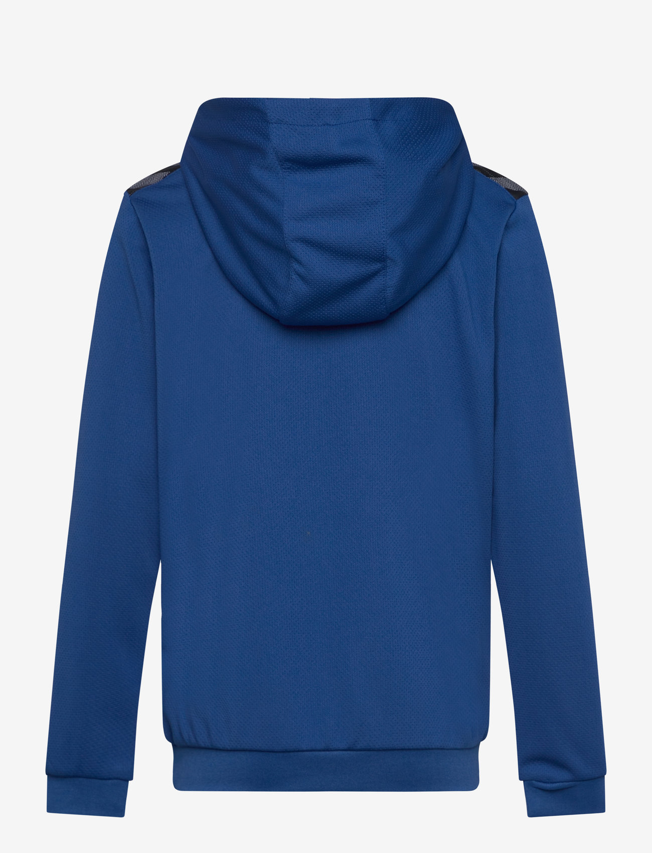 Hummel - hmlAUTHENTIC PL HOODIE KIDS - huvtröjor - true blue - 1