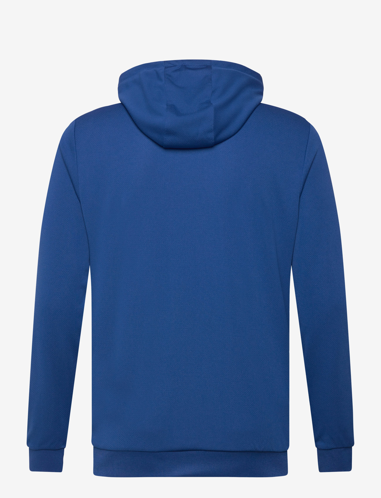 Hummel - hmlAUTHENTIC PL ZIP HOODIE - kapuzenpullover - true blue - 2