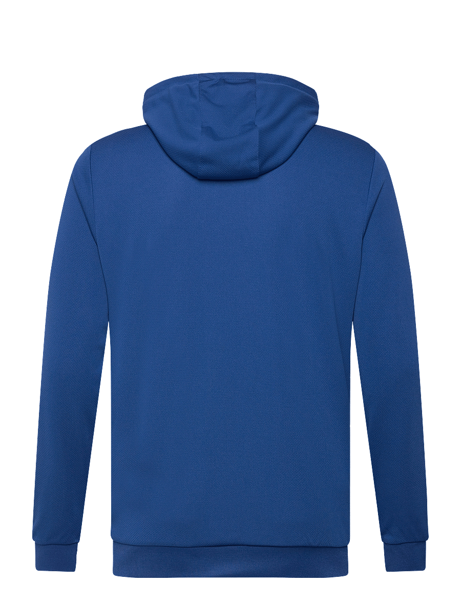 Hummel - hmlAUTHENTIC PL ZIP HOODIE - huvtröjor - true blue - 2