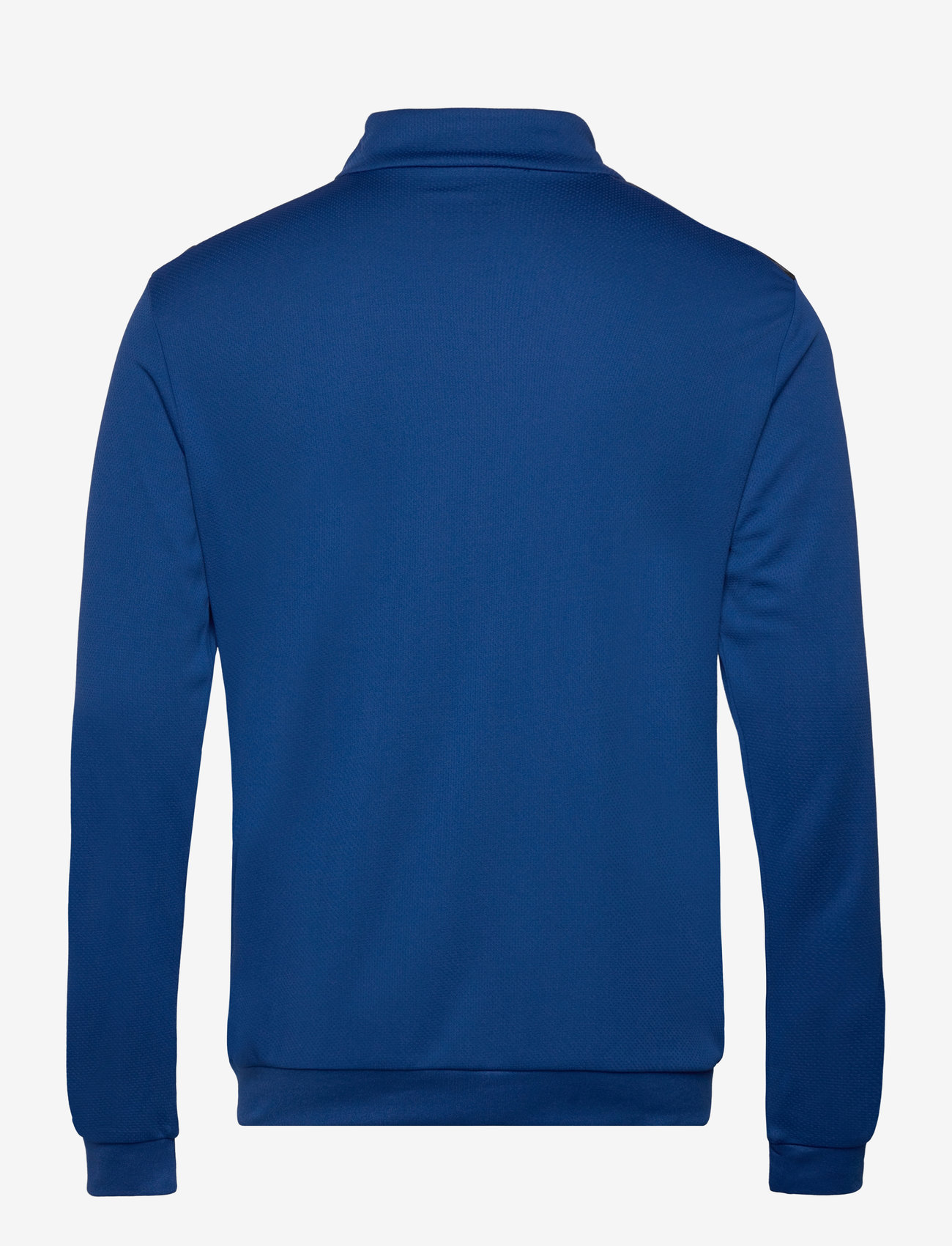 Hummel - hmlAUTHENTIC PL ZIP JACKET - trainingsjacken - true blue - 1