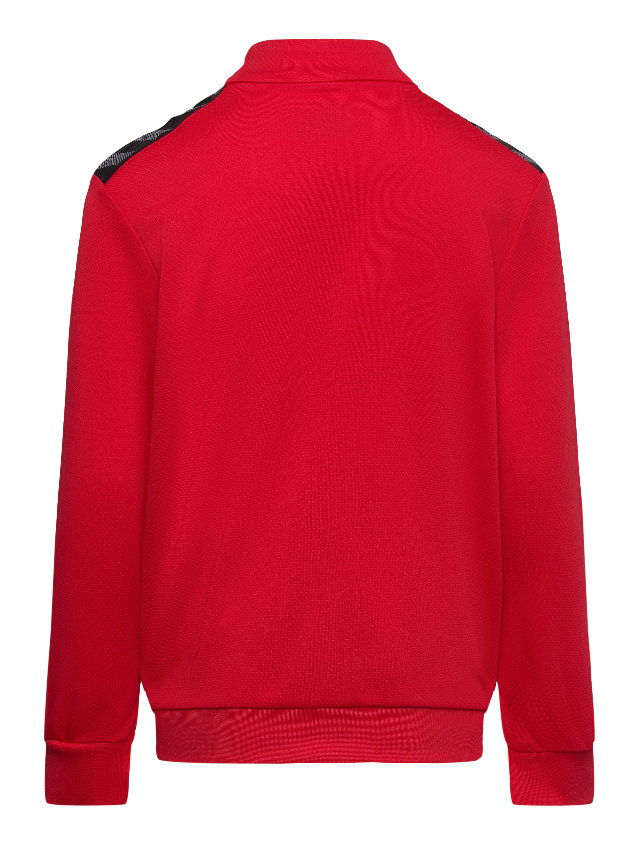 Hummel - hmlAUTHENTIC PL ZIP JACKET KIDS - sweatshirts - true red - 1
