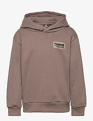 Hummel - hmlDARE HOODIE - sweatshirts & hoodies - falcon - 0