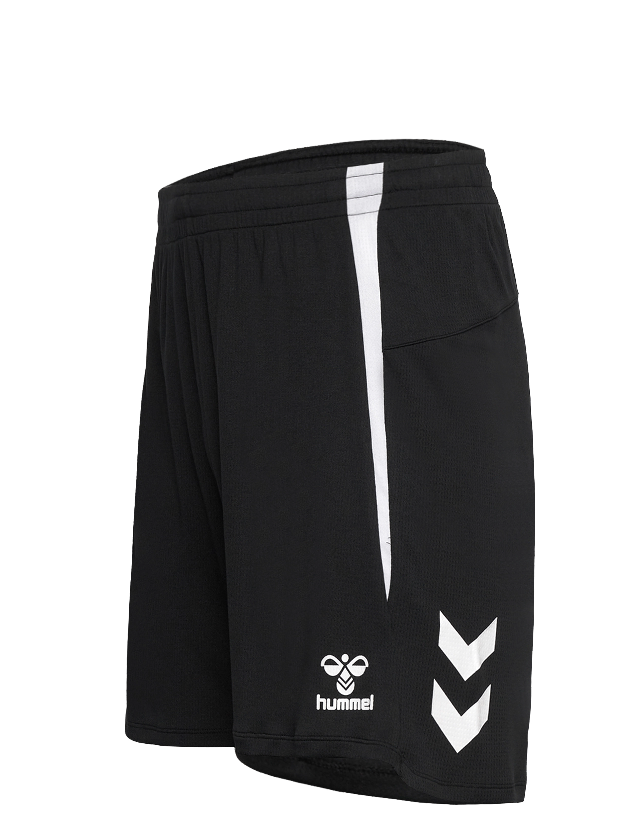 Hummel - hmlLEAD 2.0 SHORTS - black - 2