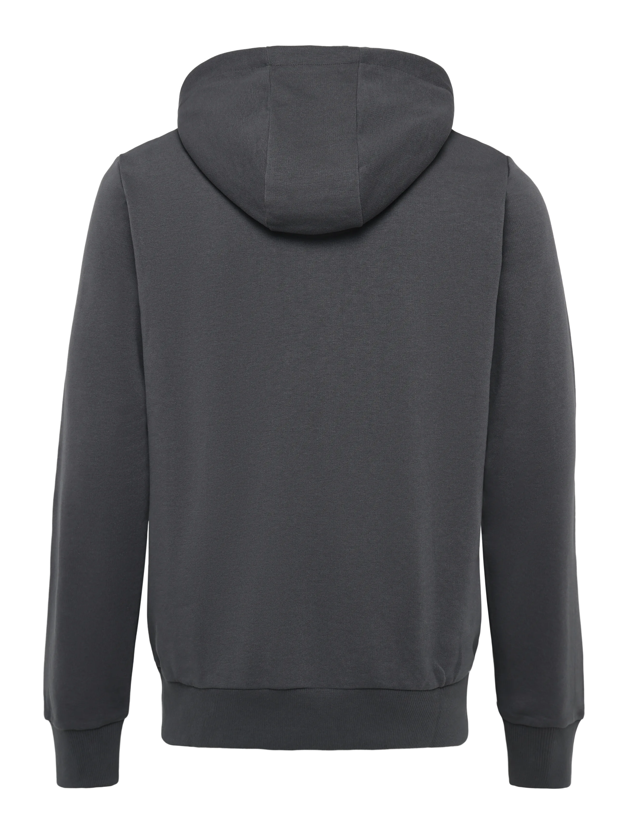 Hummel - hmlPULSE SWEAT HOODIE - kapuzenpullover - ebony - 1