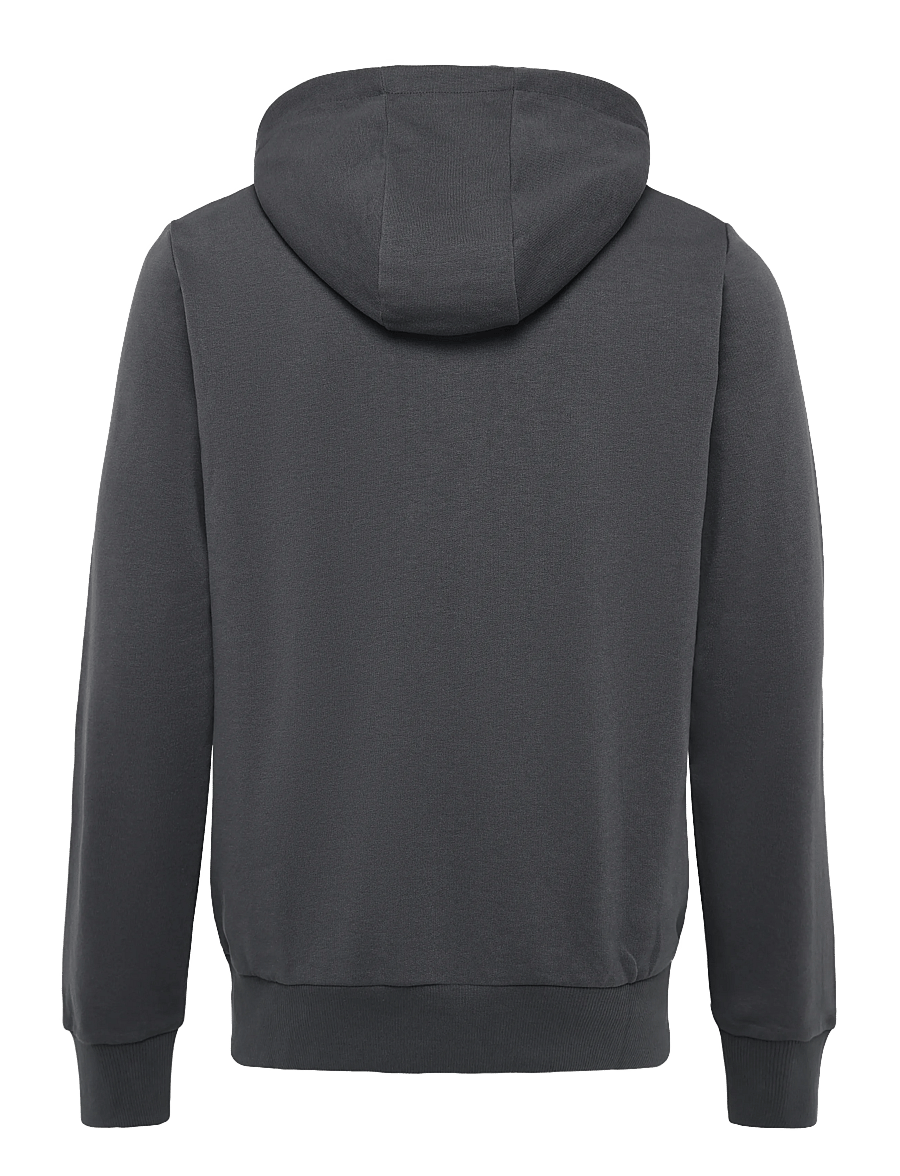 Hummel - hmlPULSE SWEAT HOODIE - kapuzenpullover - ebony - 1