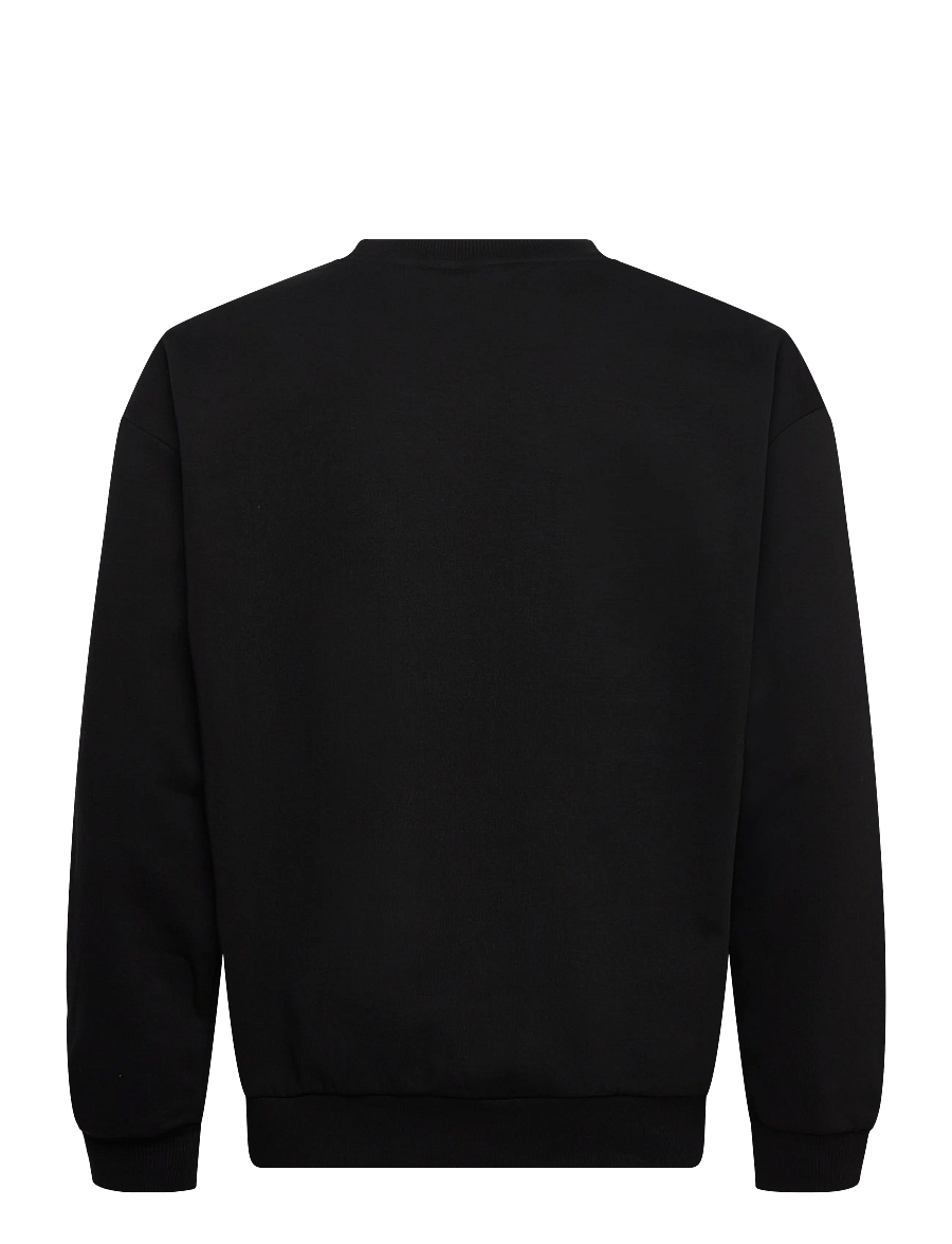 Hummel - hmlLOOSE CREWNECK BEE - tops - black - 1