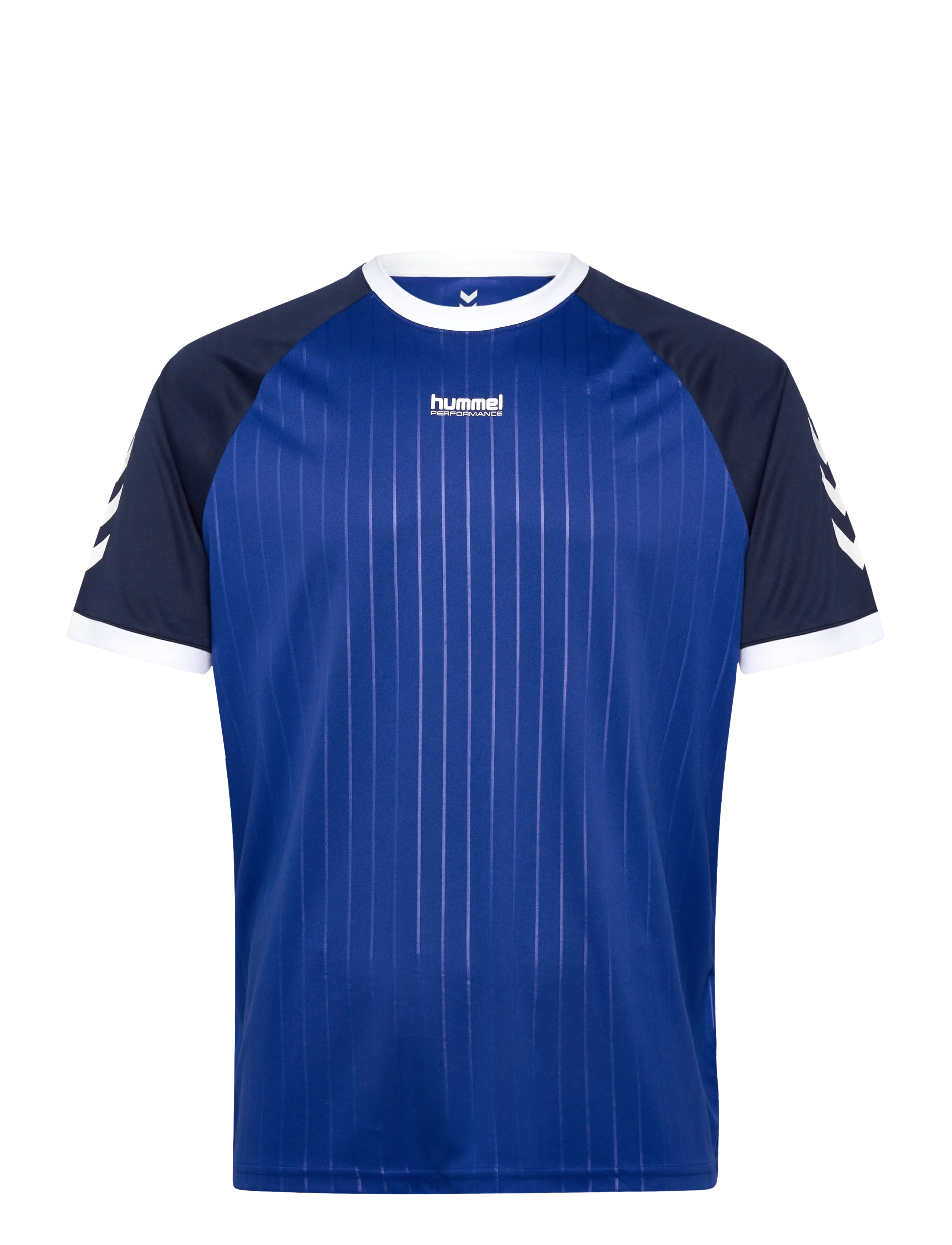 Hummel hmlPULSE STRIPE T-SHIRT S/S - T-shirts - SURF THE WEB / blue