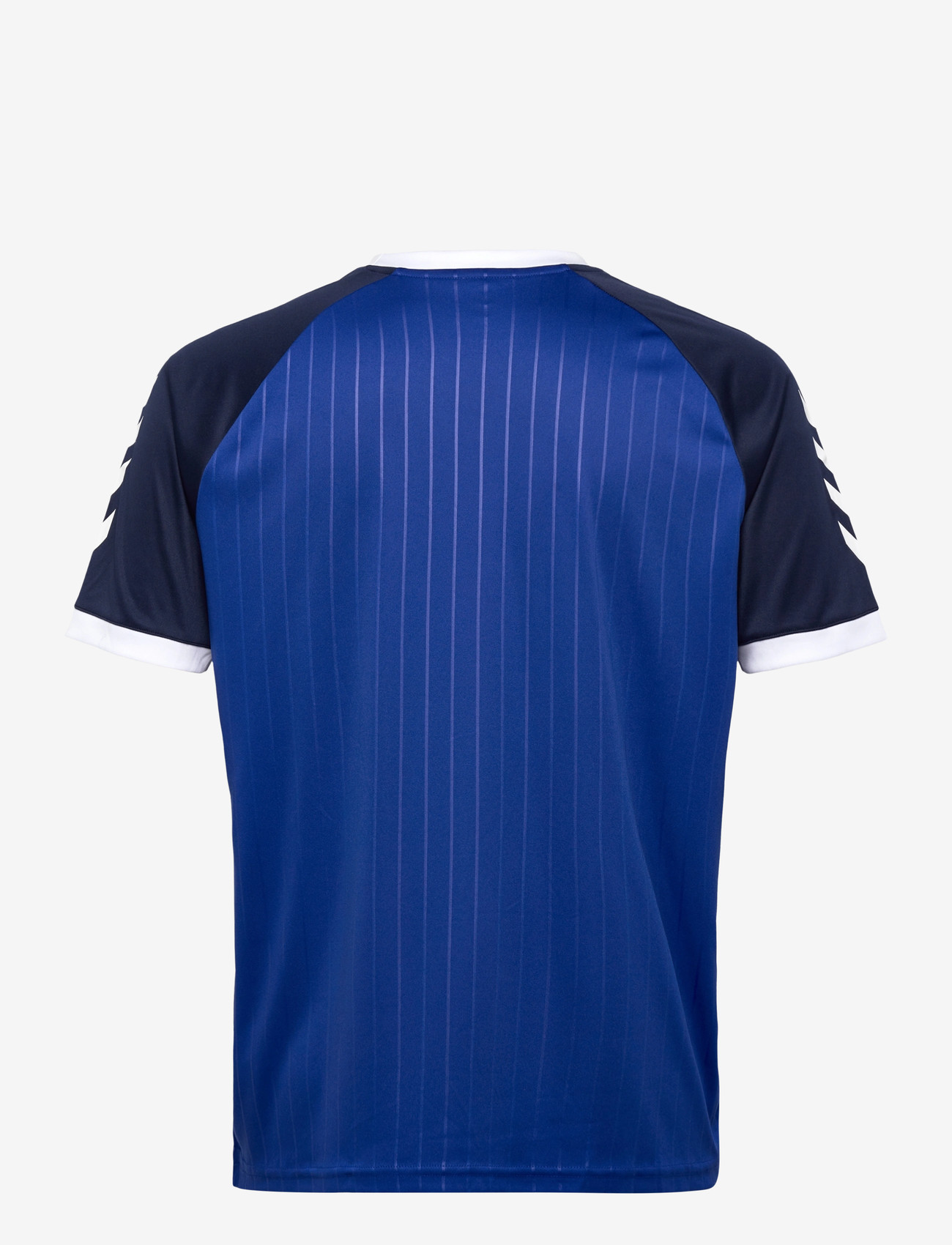Hummel - hmlPULSE STRIPE T-SHIRT S/S - alussärgid ja t-särgid - surf the web - 1