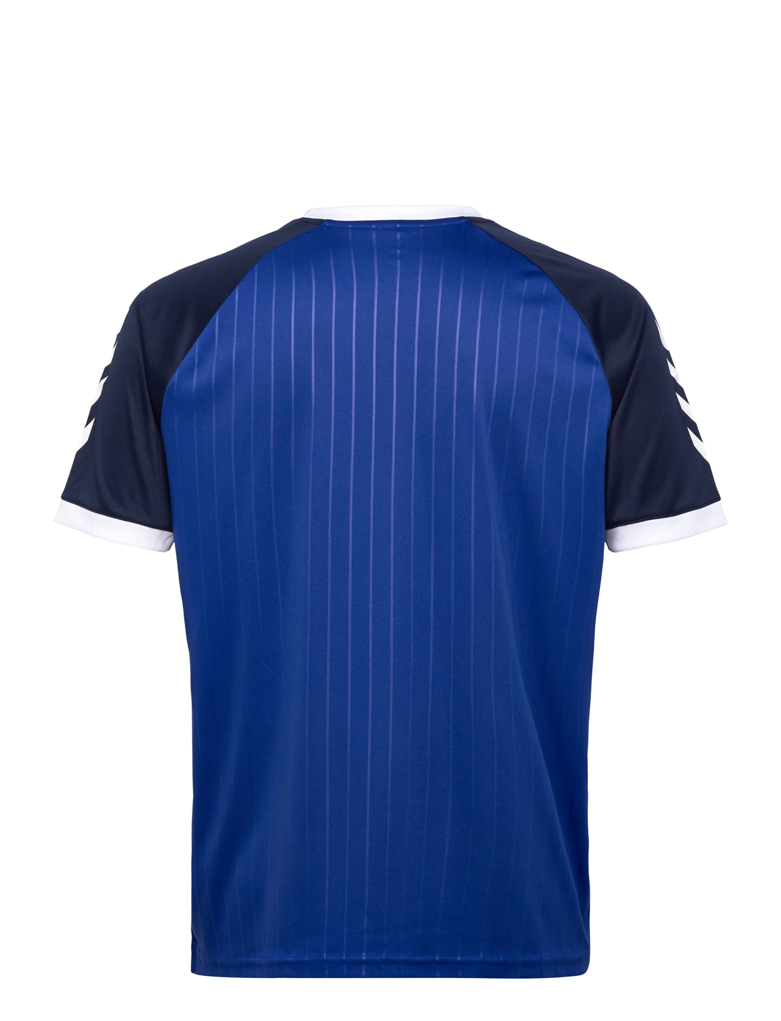 Hummel - hmlPULSE STRIPE T-SHIRT S/S - tops & t-shirts - surf the web - 1