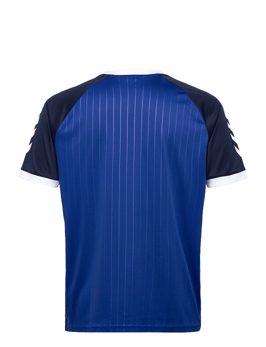 Hummel - hmlPULSE STRIPE T-SHIRT S/S - t-shirts - surf the web - 1