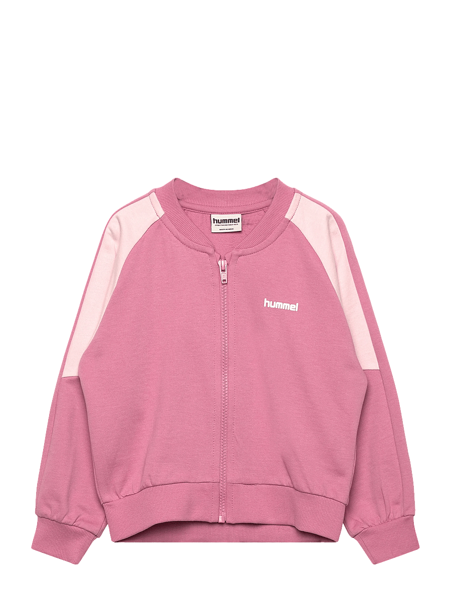Hummel - hmlMINI LOOSE BLOCK ZIP JACKET - joggingpeysur - pale lilac - 0