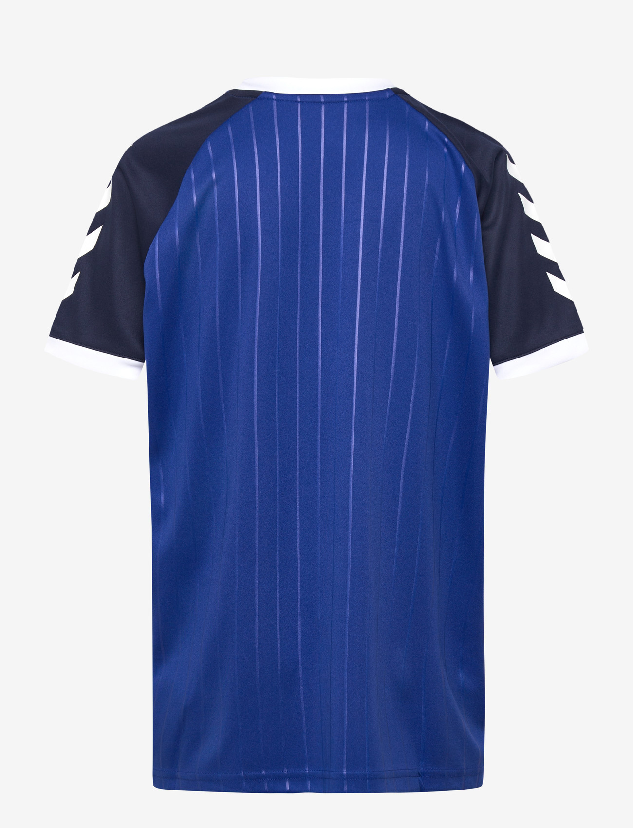 Hummel - hmlJR STRIPE T-SHIRT S/S - sportstoppe - surf the web - 1