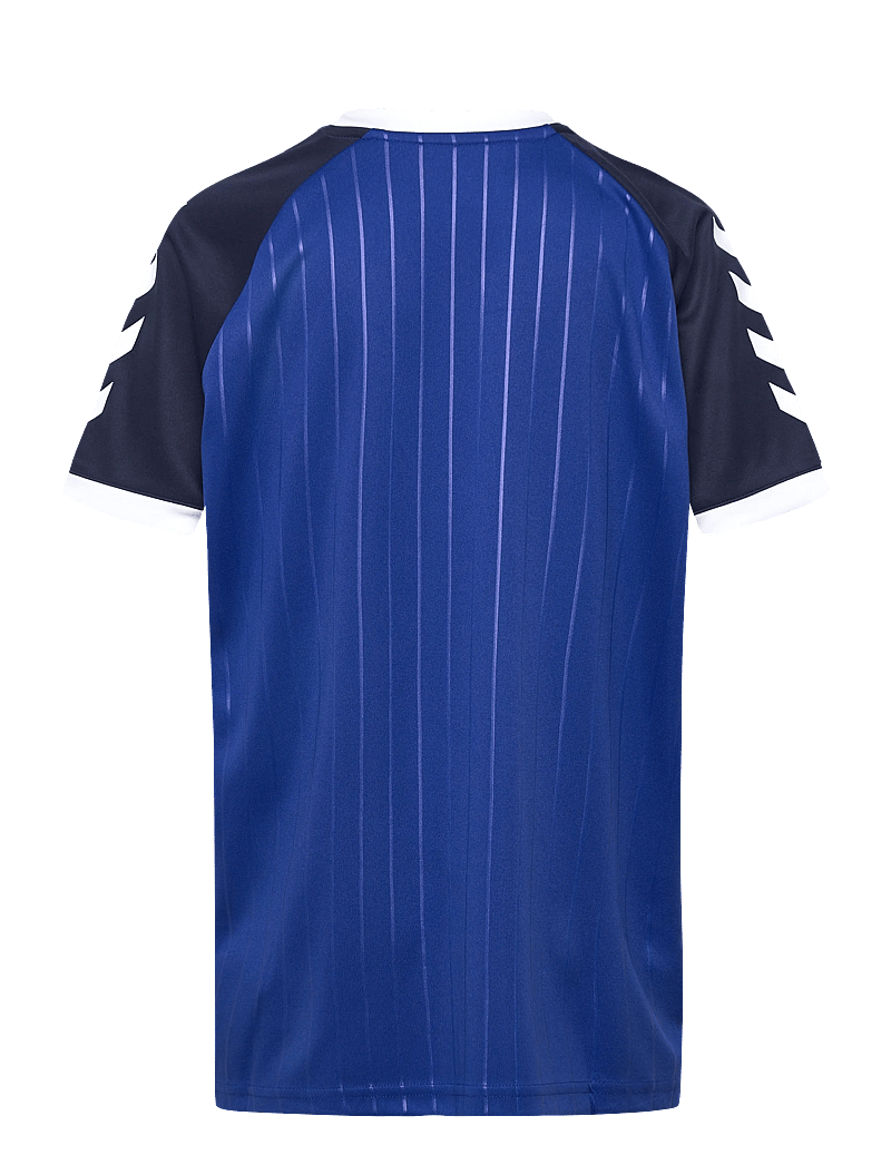 Hummel - hmlJR STRIPE T-SHIRT S/S - spordisärgid - surf the web - 1