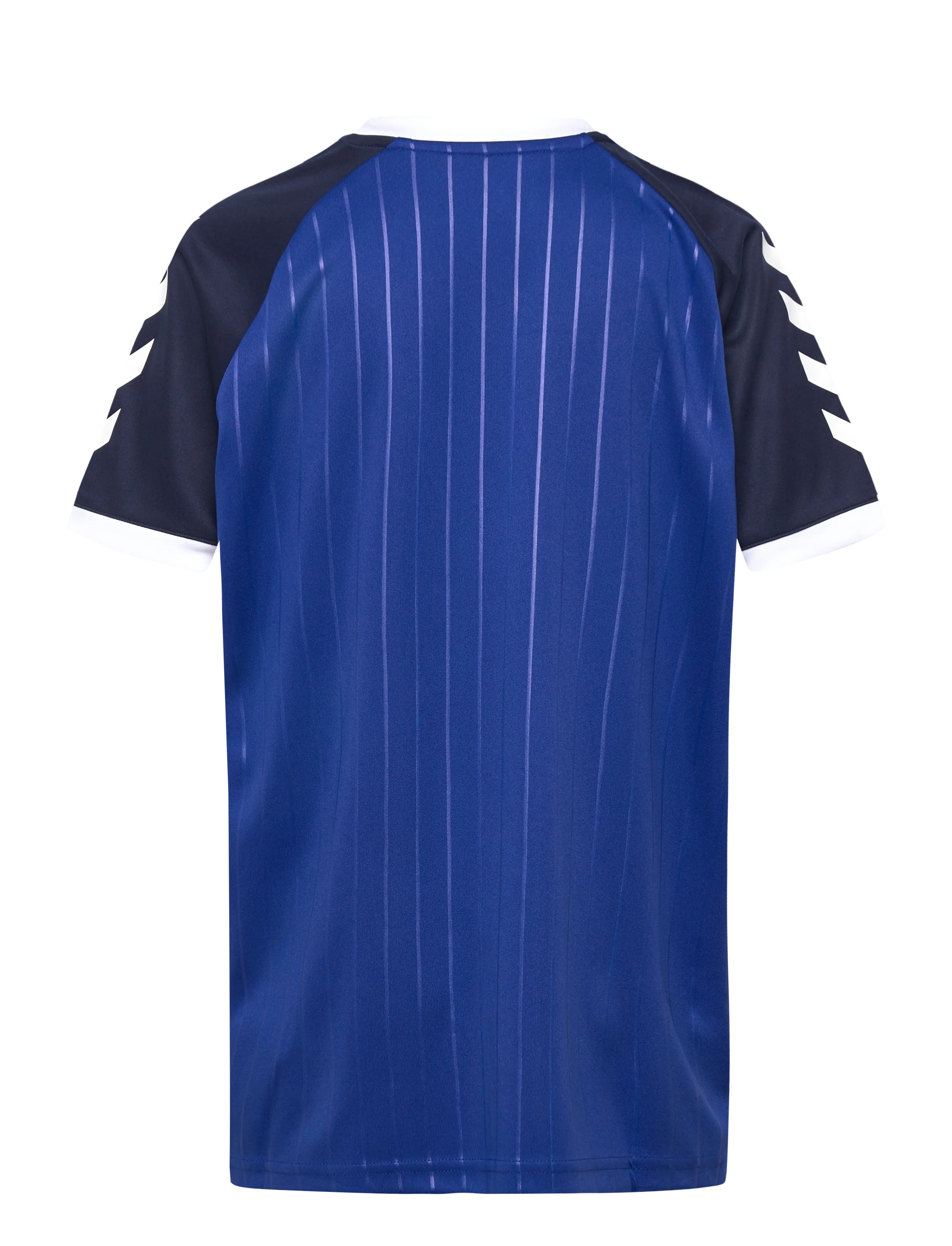 Hummel - hmlJR STRIPE T-SHIRT S/S - sportoberteile - surf the web - 1