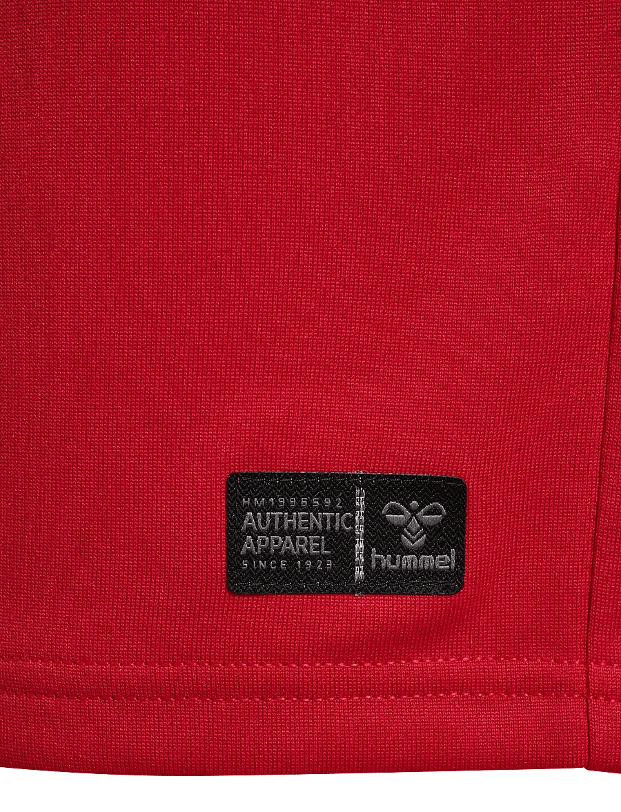 Hummel - DBU 26 HOME JERSEY S/S KIDS - sporttoppar - tango red - 4
