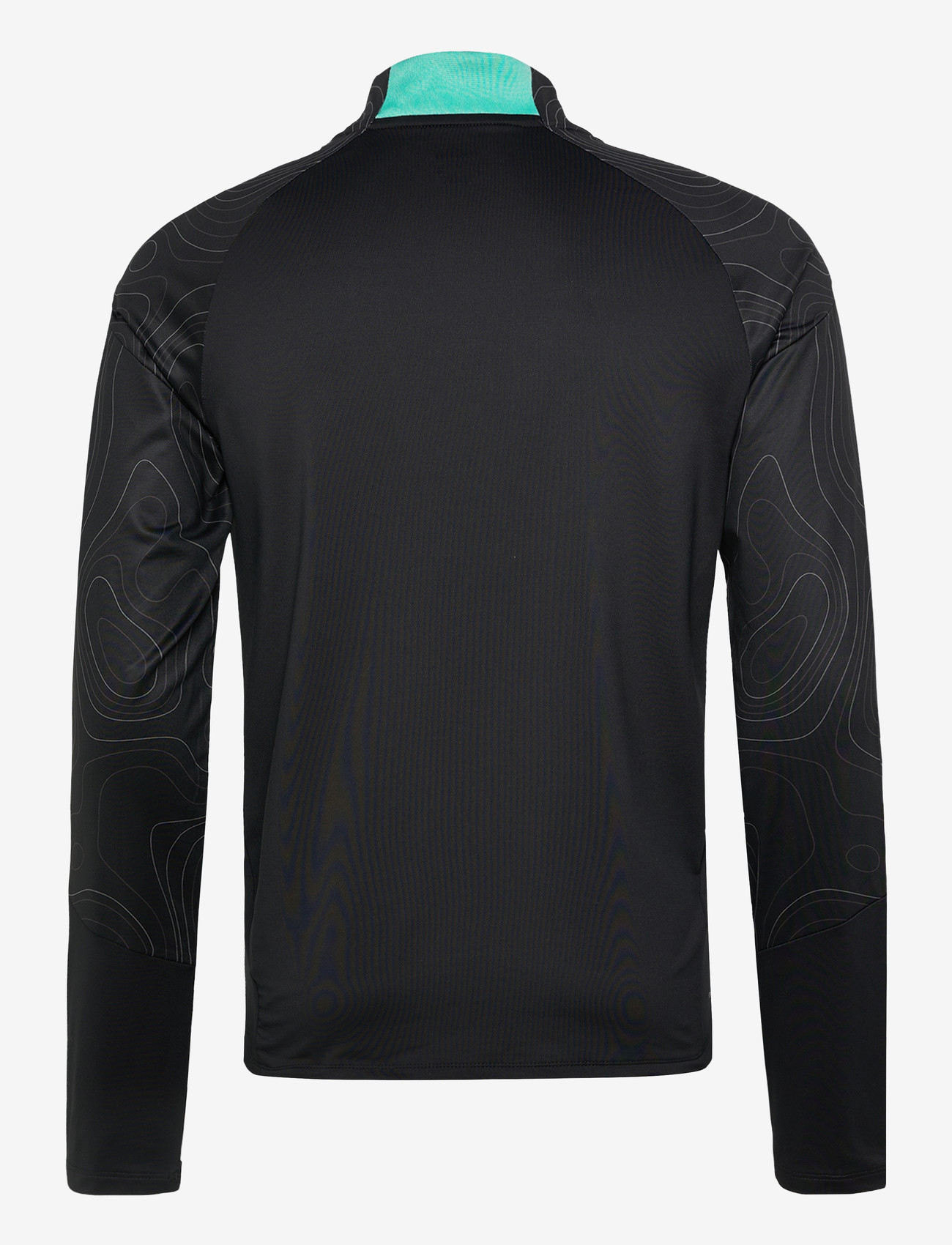 Hummel - hmlBLAZE 2.0 TRAINING HALF ZIP - fleece & midlayer - black/pool blue - 1