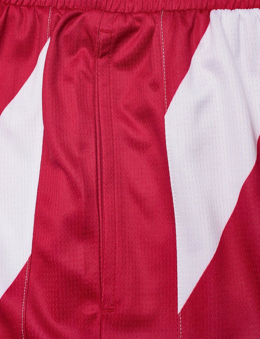 Hummel - DBU 26 FAN SHORTS - hosen - tango red - 2