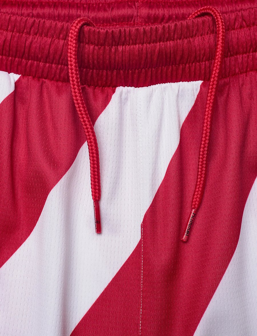 Hummel - DBU 26 FAN SHORTS - hosen - tango red - 3