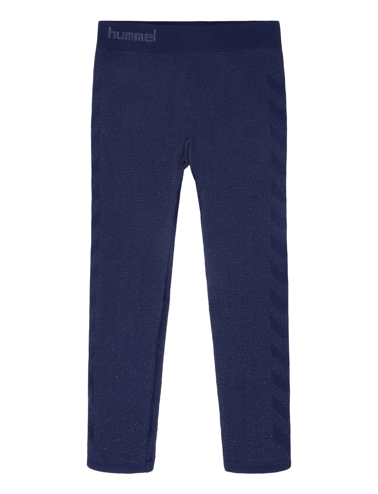 hmlJR SEAMLESS GLITTER TIGHTS - DRESS BLUES