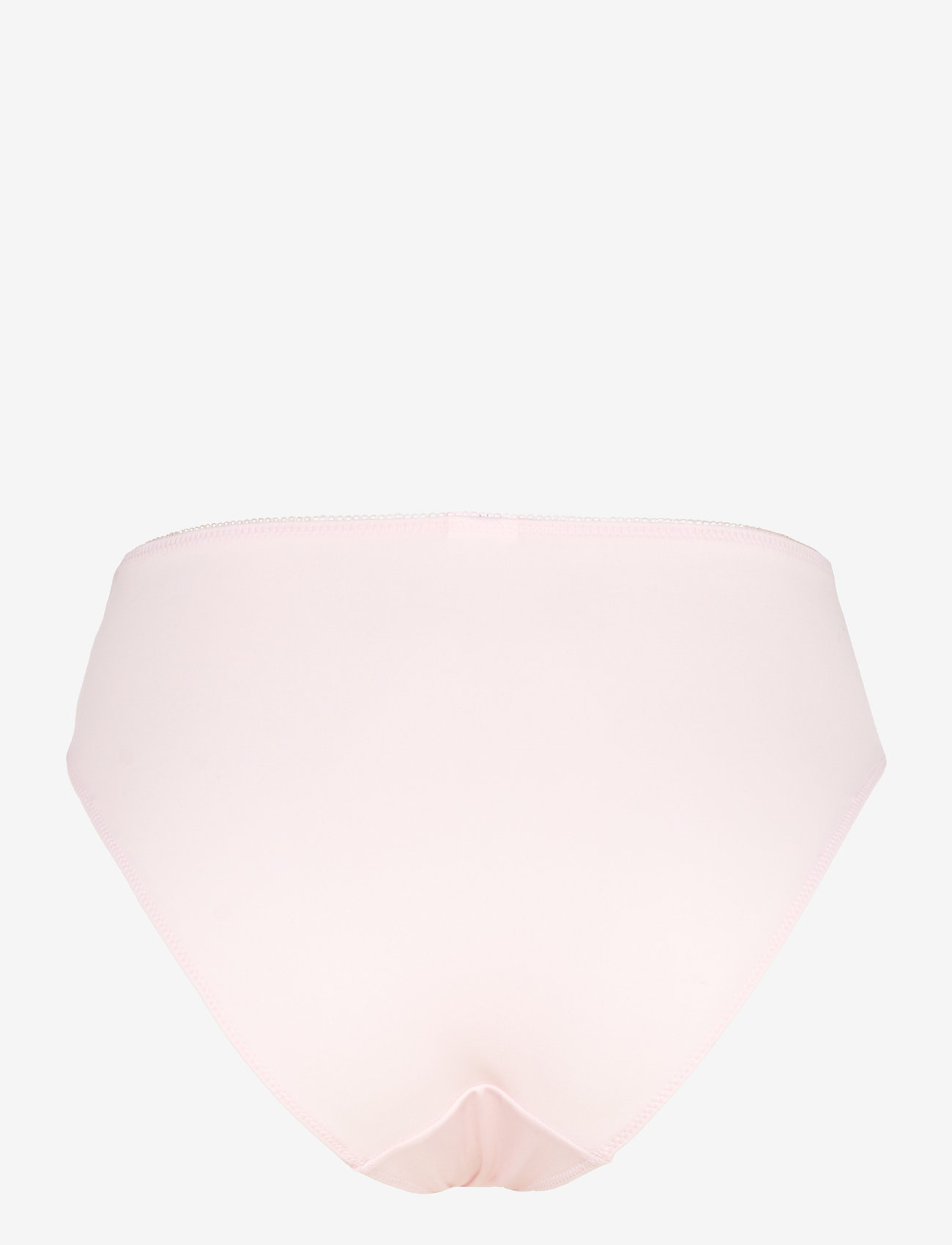 Hunkemöller - DIVA HL RIO H - briefs - pale lilac - 2