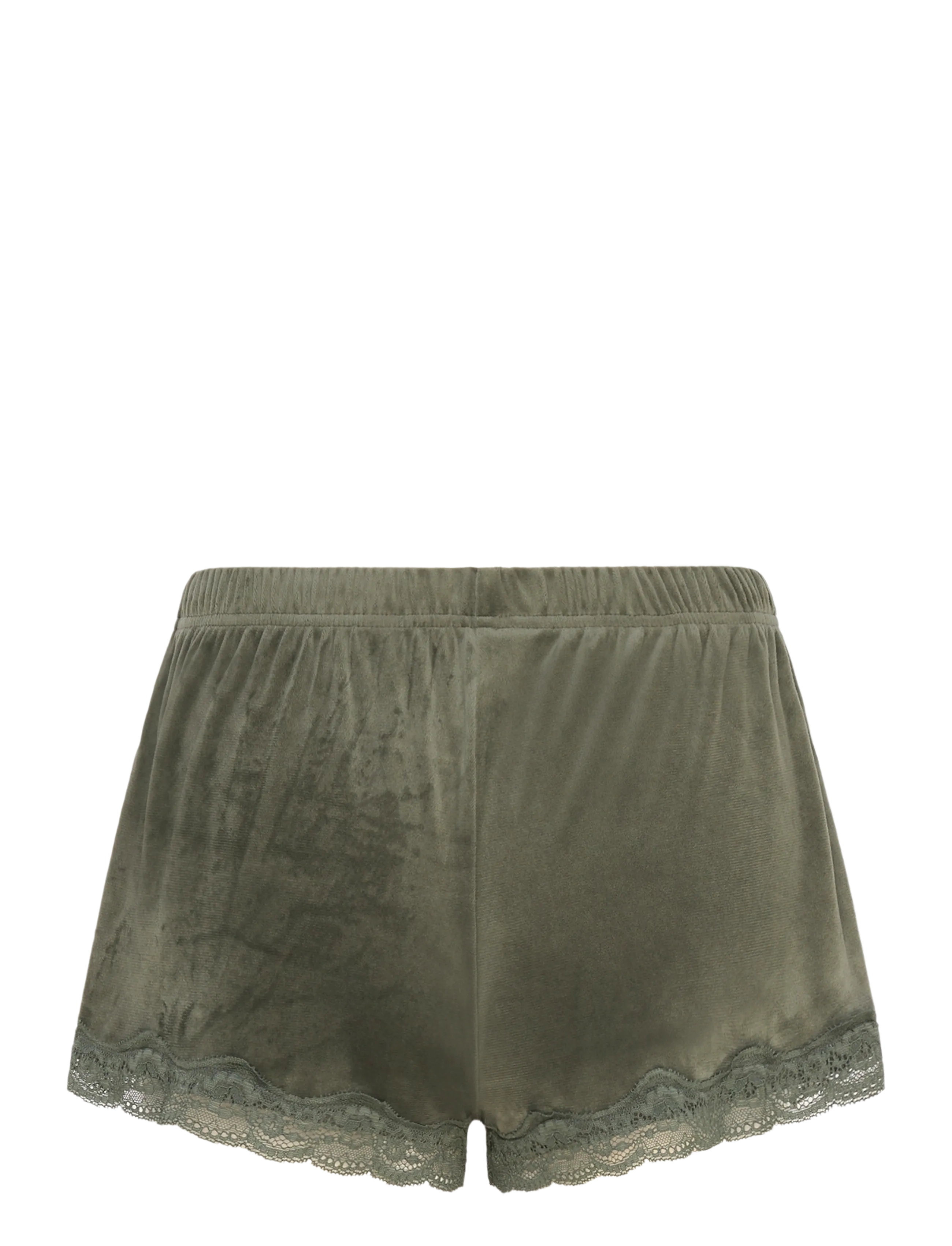 Hunkemöller - SHORT VELOURS SCALLOP LACE - climbing ivy - 1