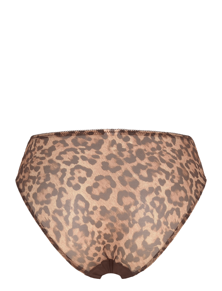 Hunkemöller - Diva Leo Rio Hw - midi & maxi trusser - coffee bean - 2