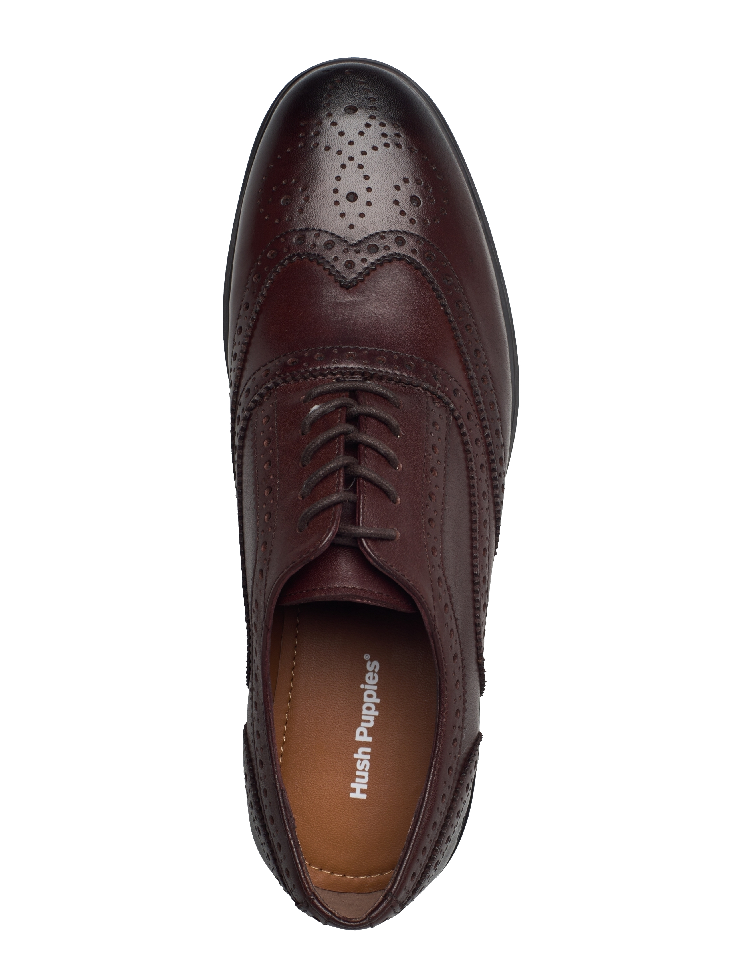 Hush Puppies - ALMATI BROUGE - brown - 3