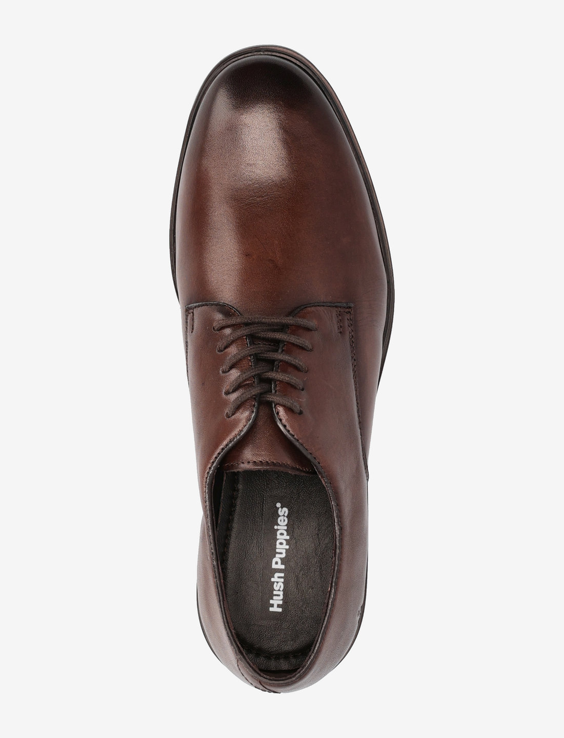 Hush puppies clearance business shoes