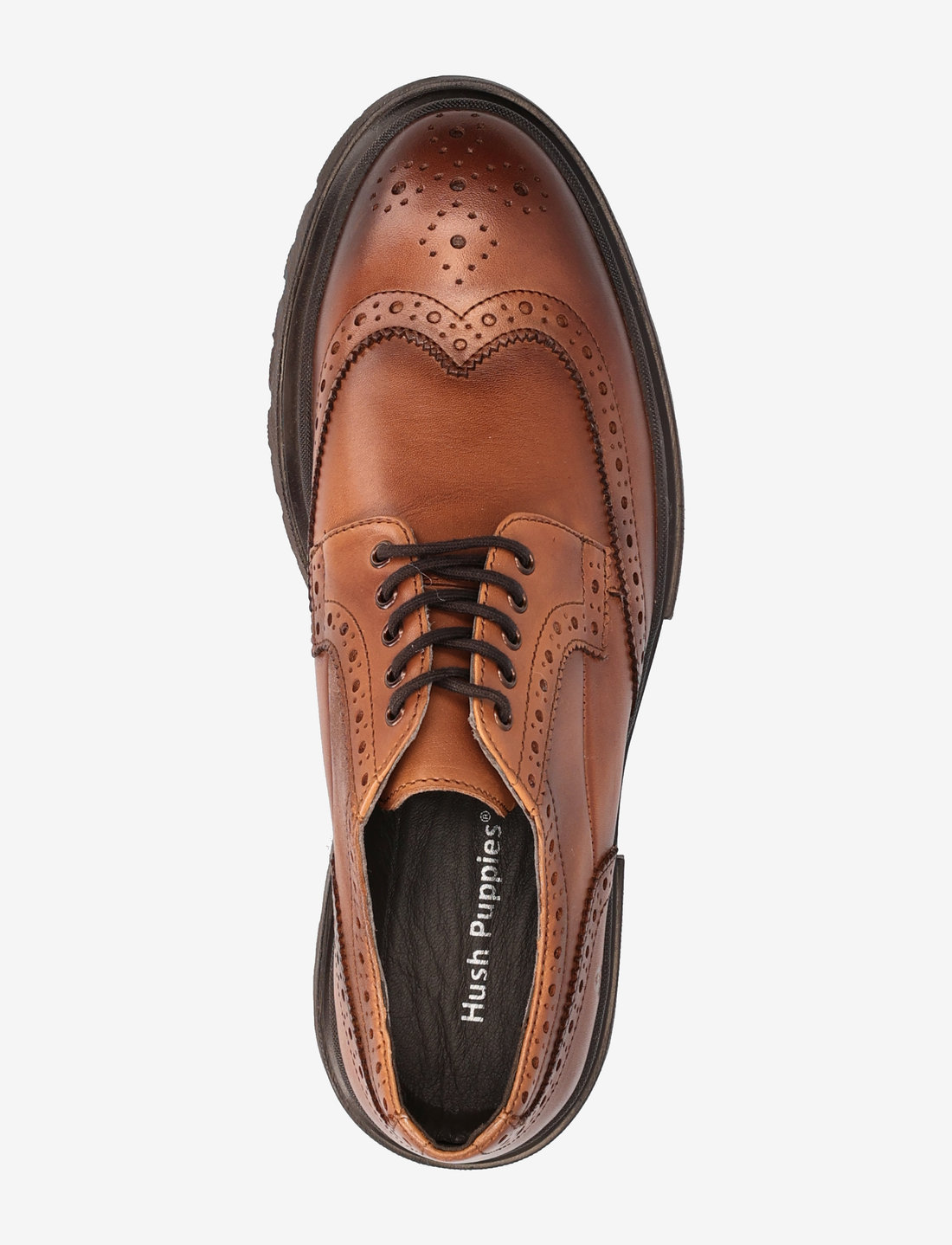 Hush 2025 puppies wingtip