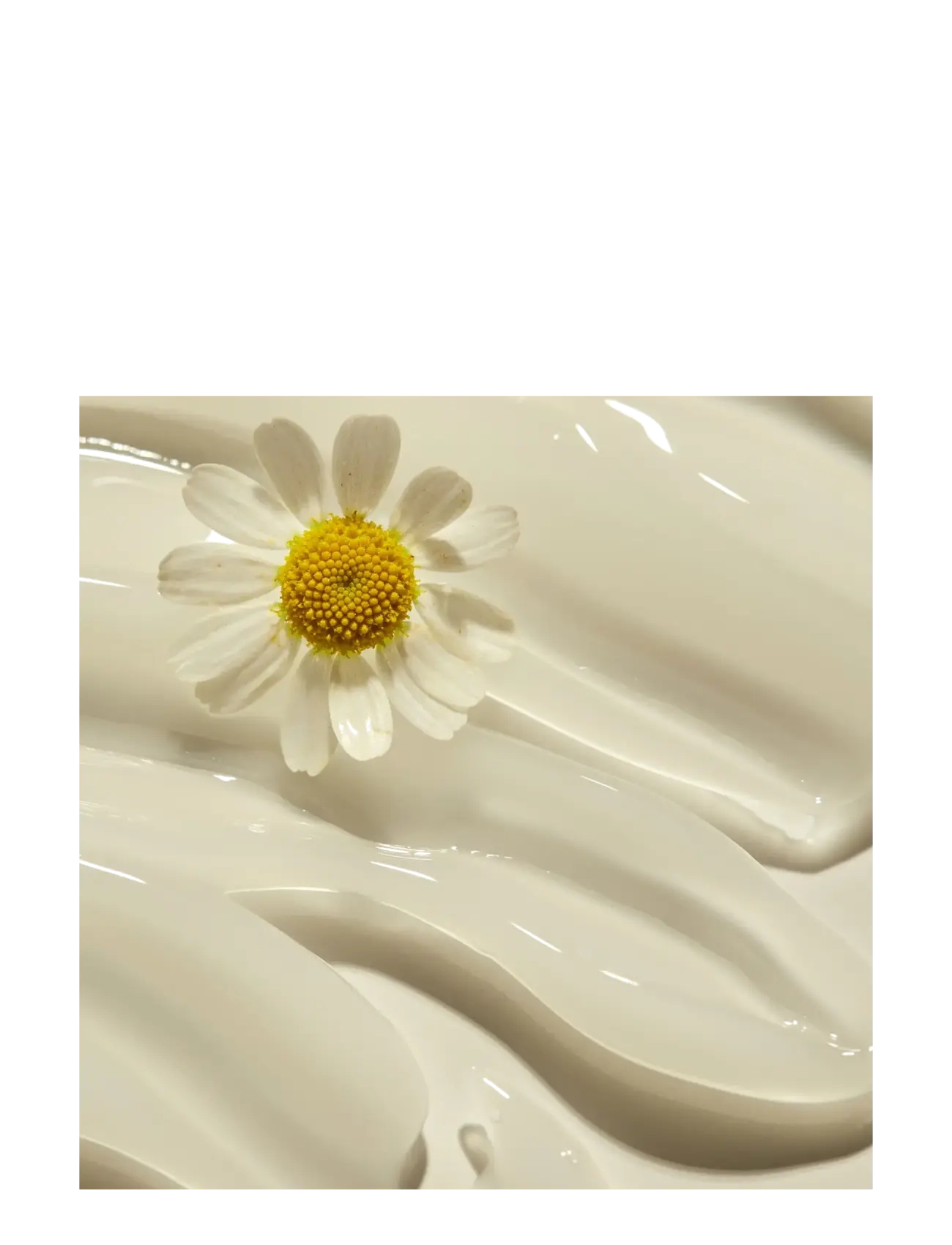 Hyggee - Relief Chamomile Cream 85g - dagkrem - no color - 2