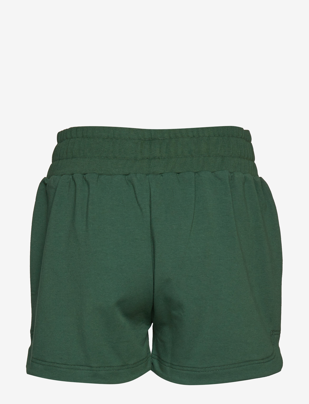 IBEN - Forester Shorts - dark green - 1