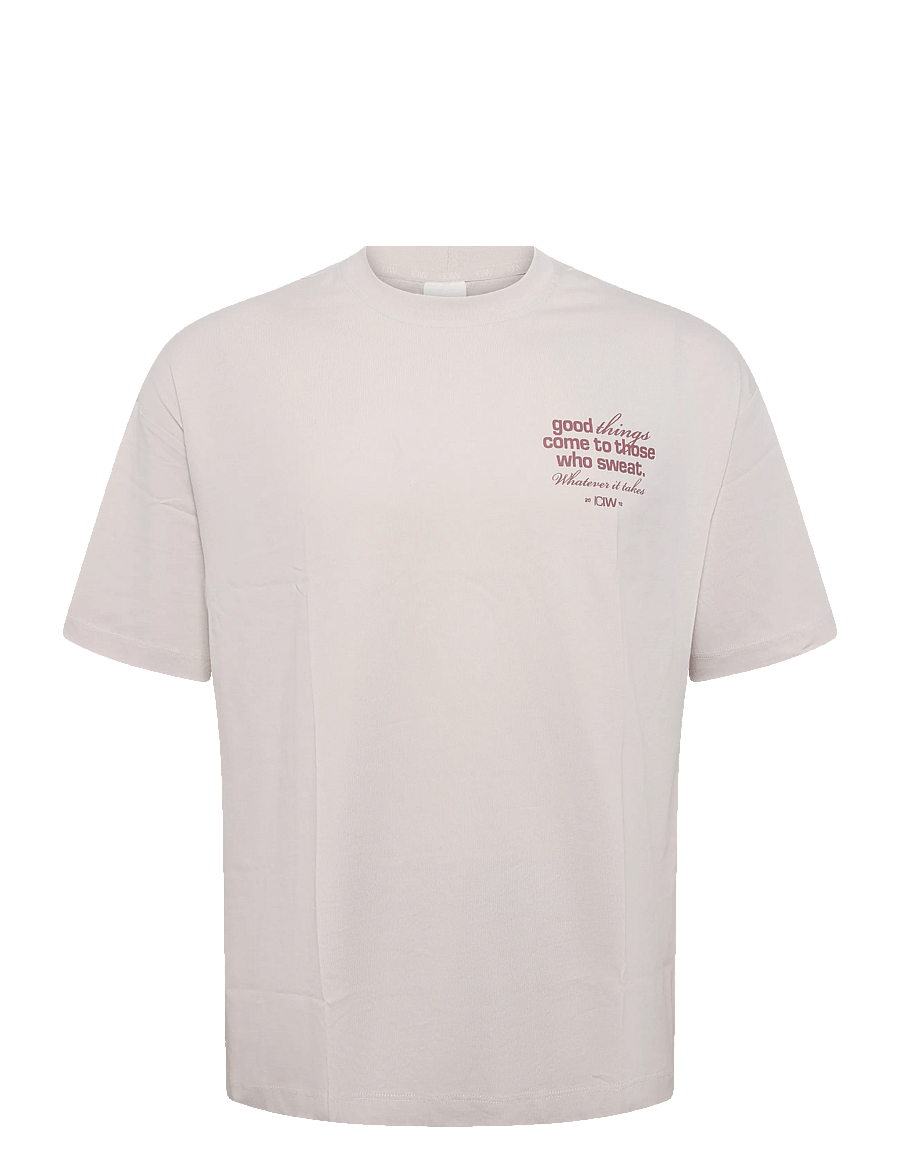 ICANIWILL - Everyday Oversized Cotton T-shirt Print W - t-shirts - light beige - 1